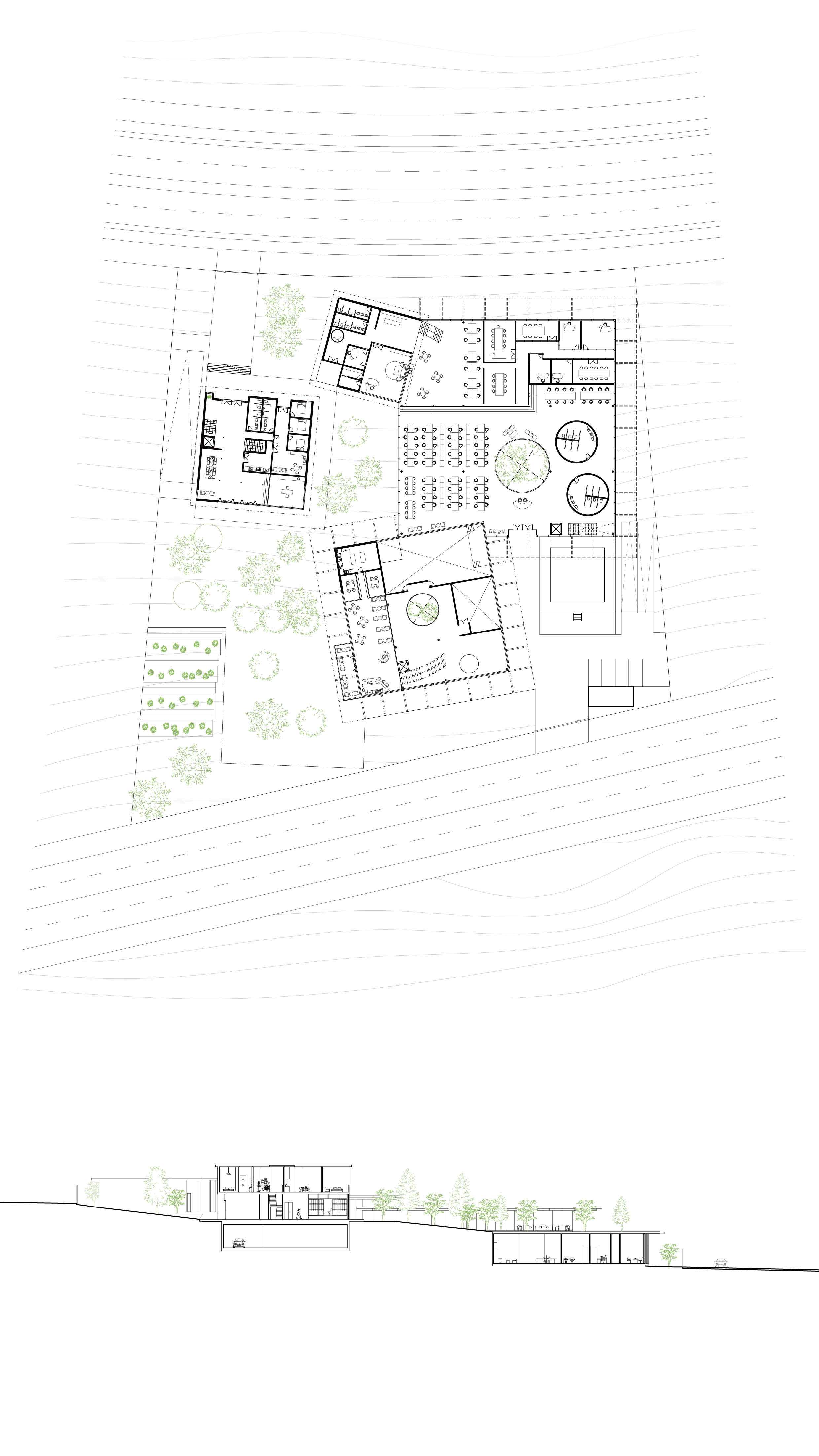 Typical Plan and Section: 
The spacious size of the site allows to design with a low profile building, spread horizontally over the slope to achieve the idea of continuing interaction with the natural landscape.