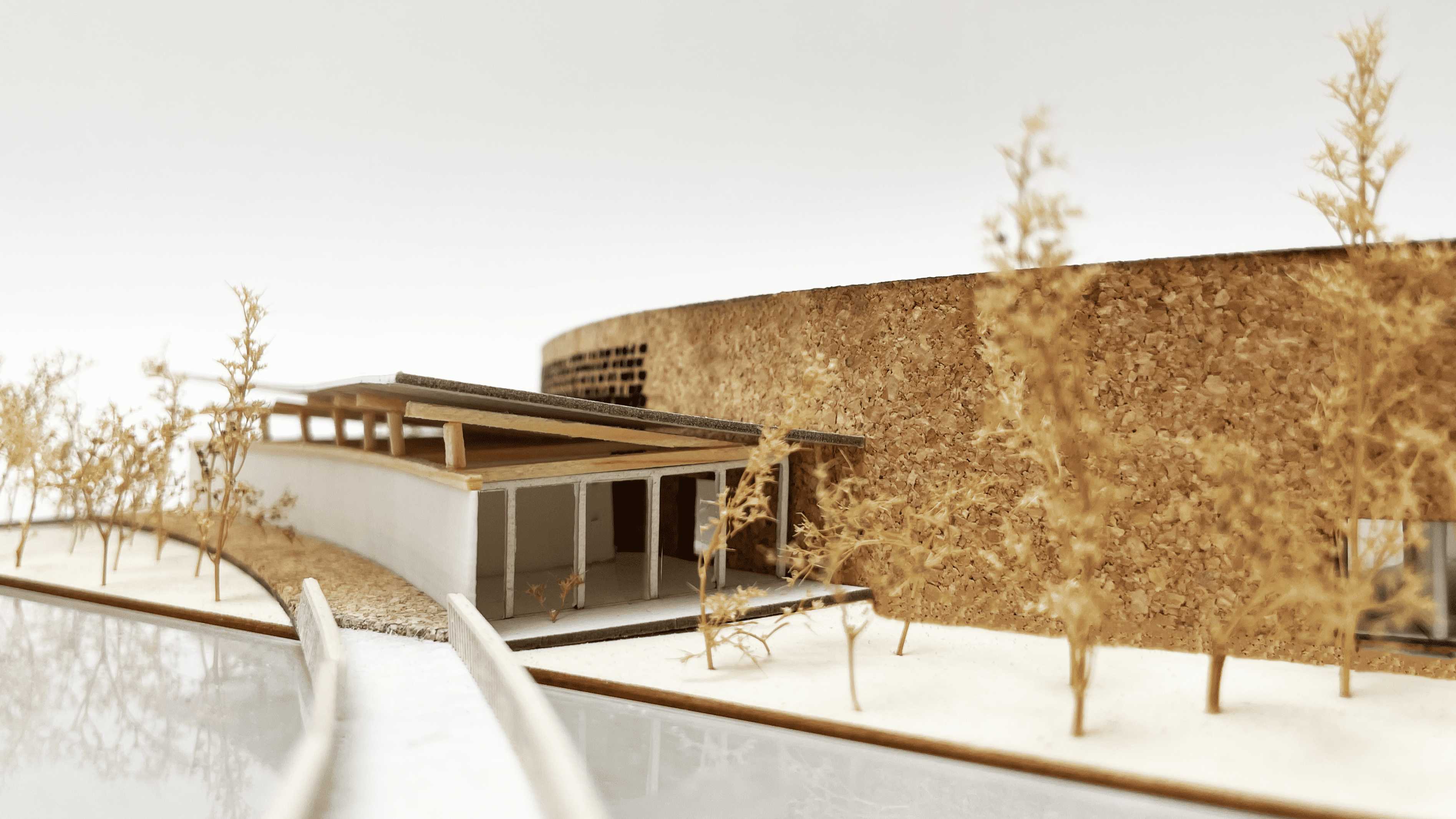 Zoomed in view of rear pedestrian pathway with curving walls, a skylight-equipped pitched roof, and a peaceful tree-lined corridor that fosters seclusion and a sense of connection to nature.