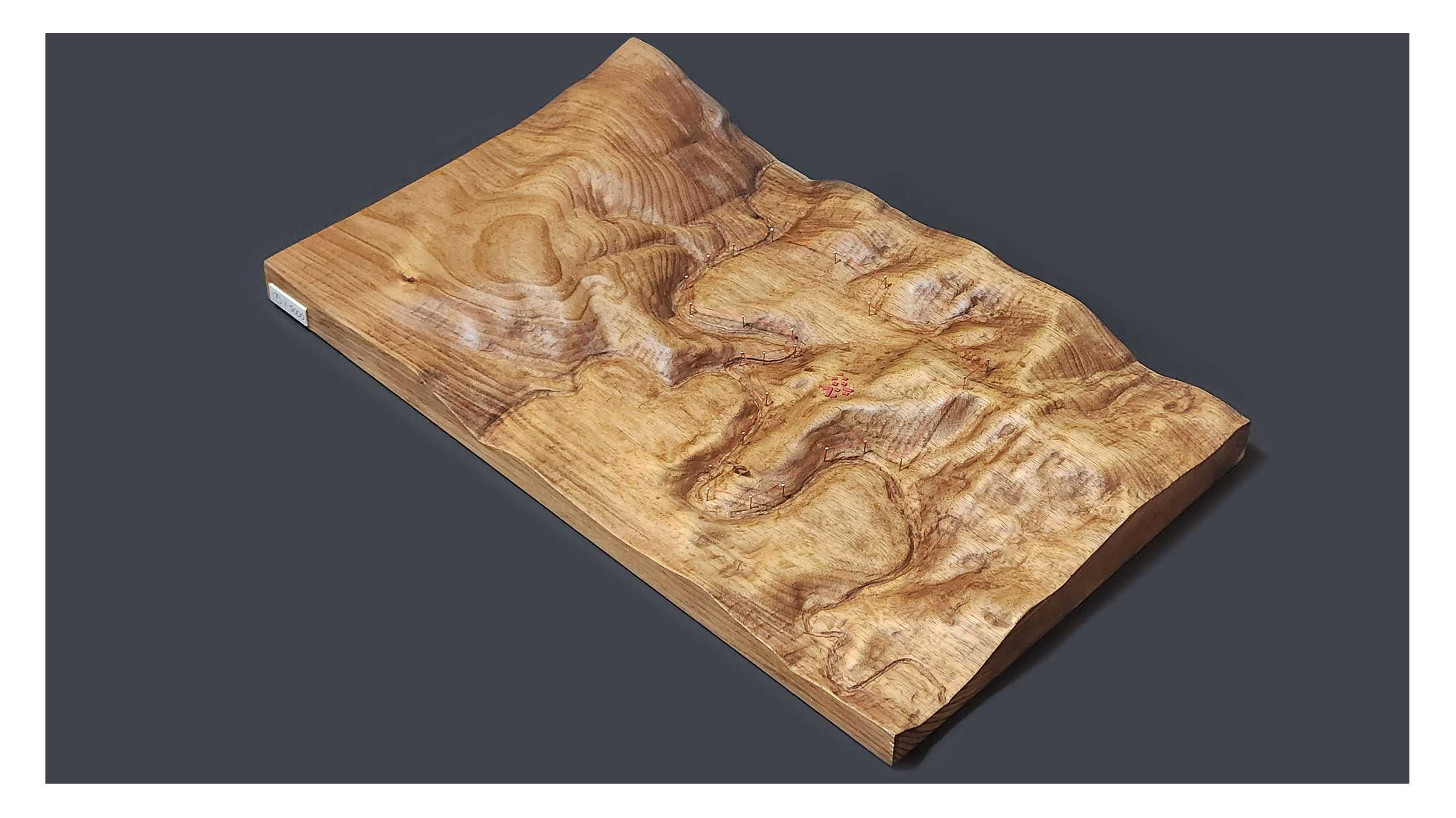 1:5000 Site model from CNC Tasmanian Blackwood. 'Red' denotes the boundary and proposed dwellings.