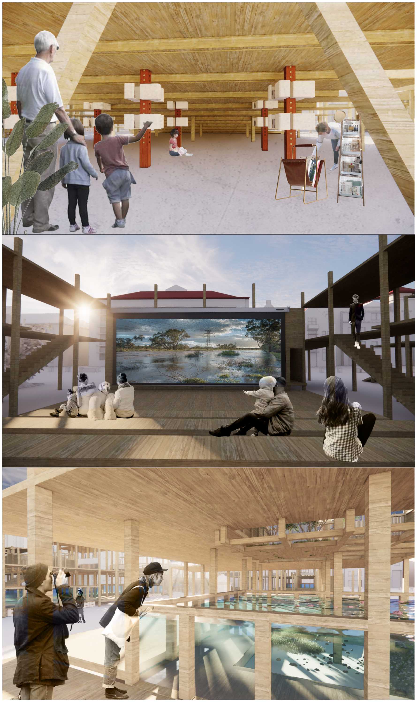 This image is about renders of reading area, stage and Aquaponics system.