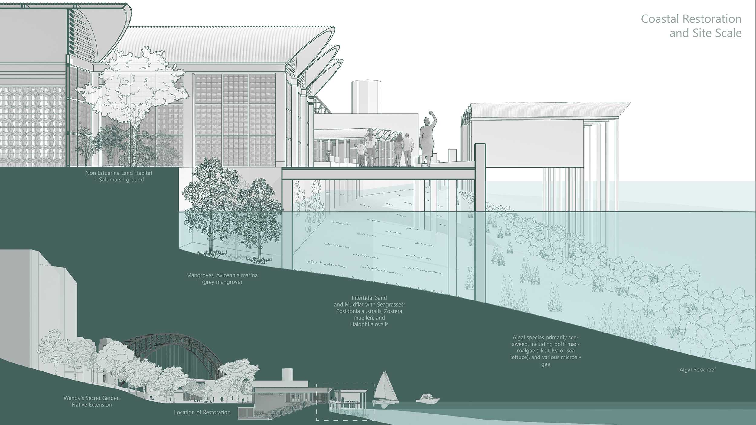 Diagram of the coastal restoration, as well as the extension and location of the Wendy's garden landscaping.