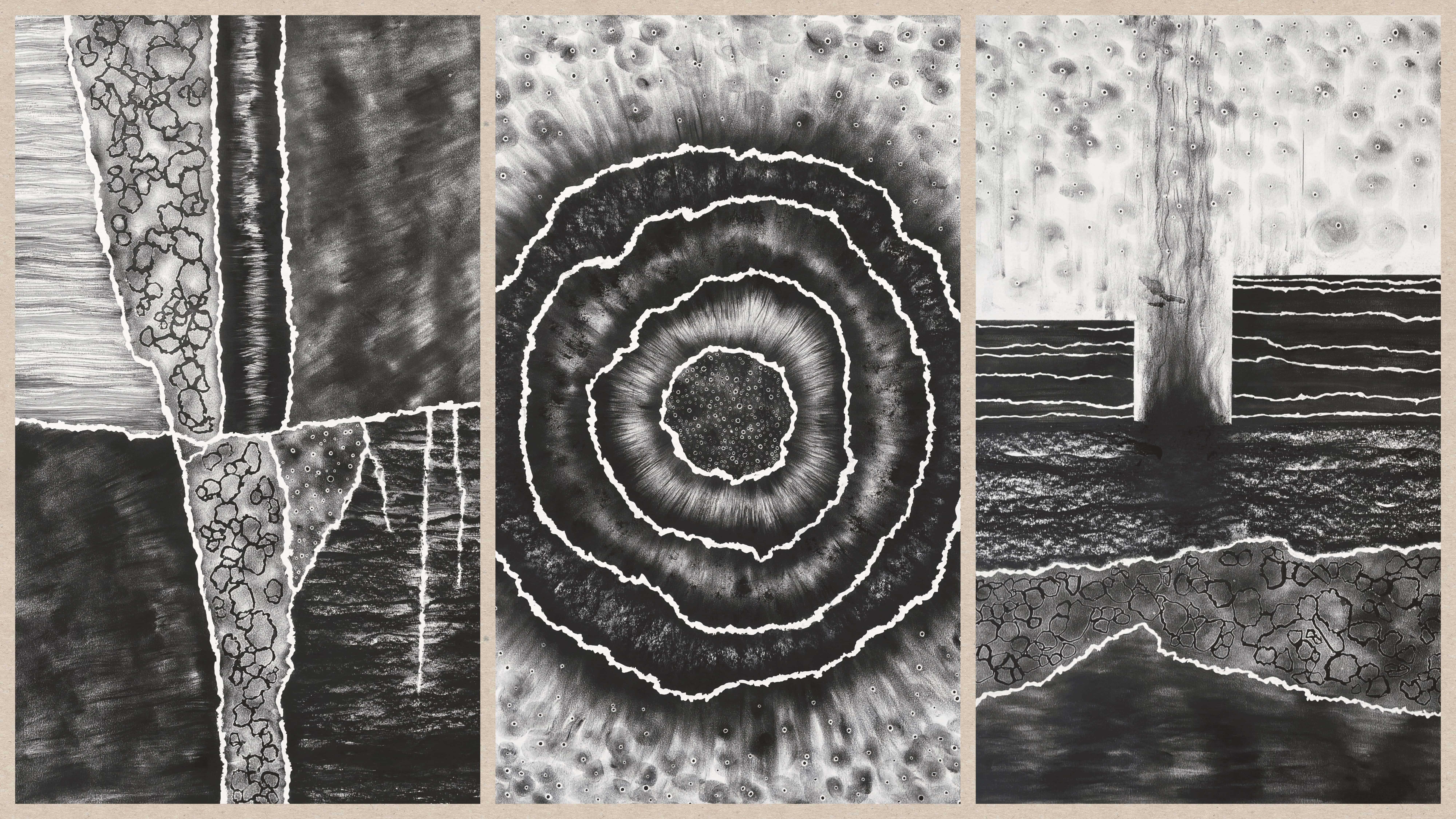 Left; Site synthesis charcoal drawing. Middle; Concept charcoal drawing. Right; Architectural exploration. 