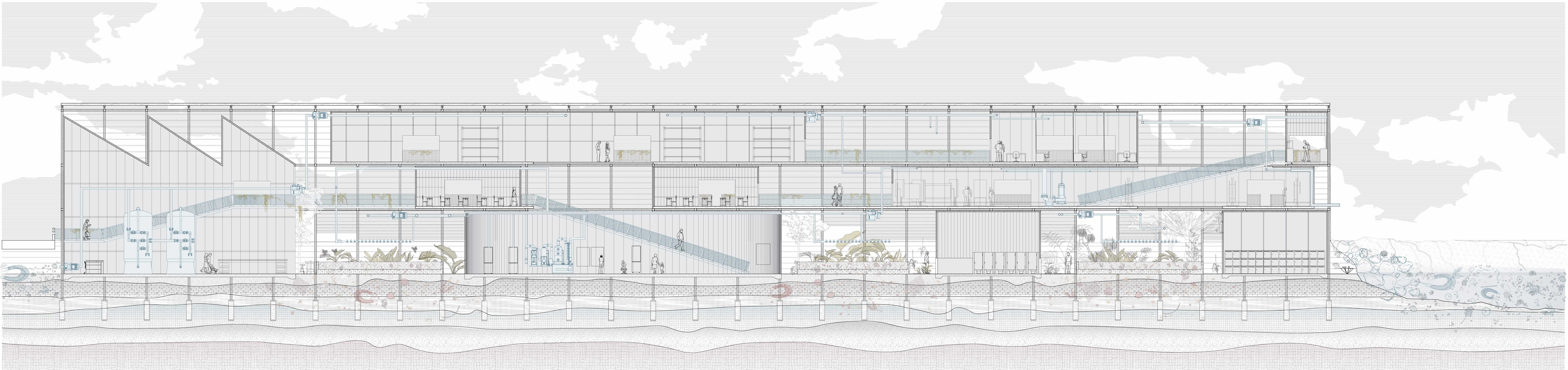 Visitors engage with the stormwater filtration, irrigation systems, and natural sandstone water filtration on ground-level and elevated pathways, fostering a deeper understanding of water’s role in public health and connectivity.