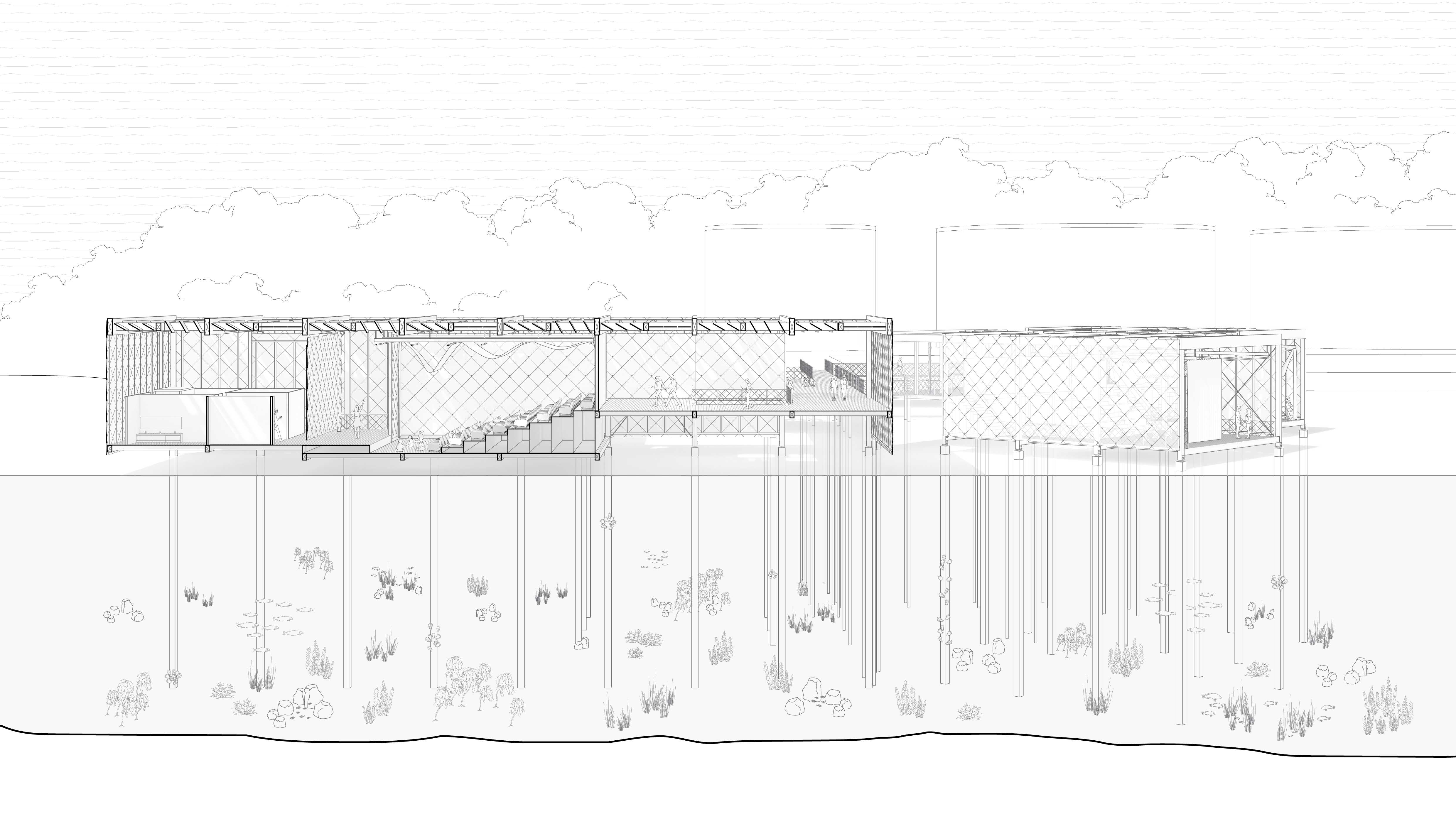 Sectional perspective of primary theatre