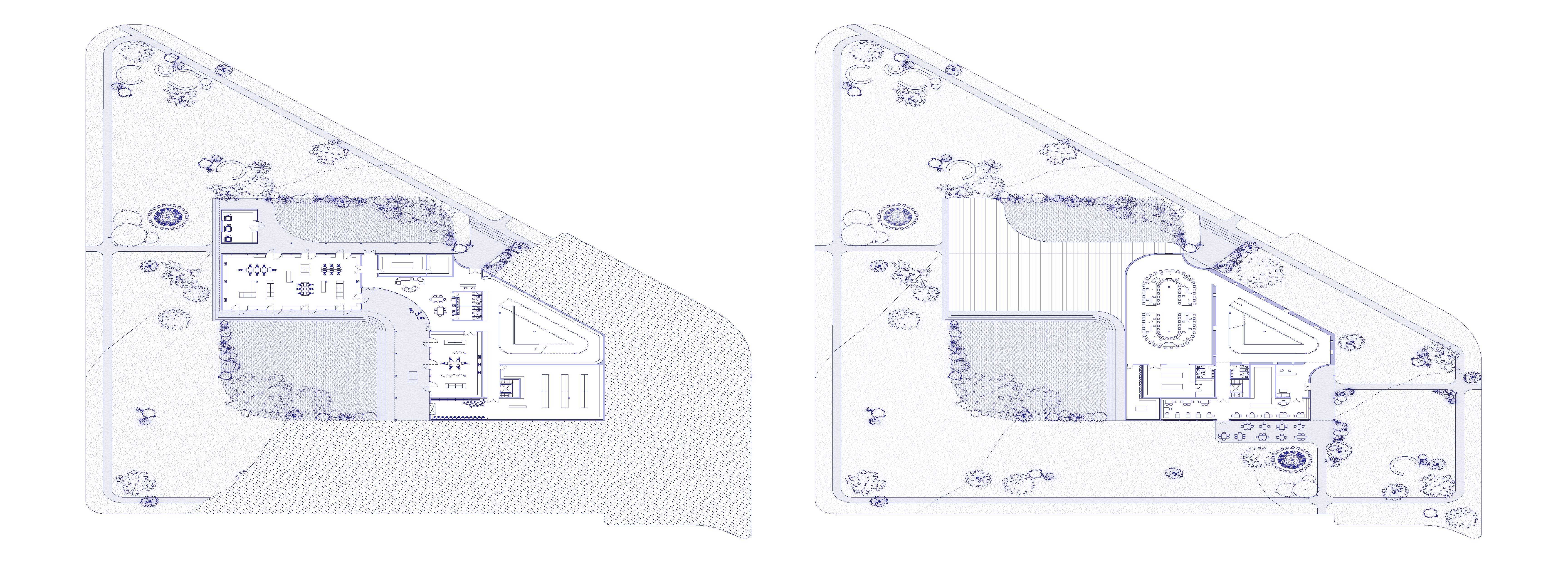 Lower Ground and Ground Floor Plan