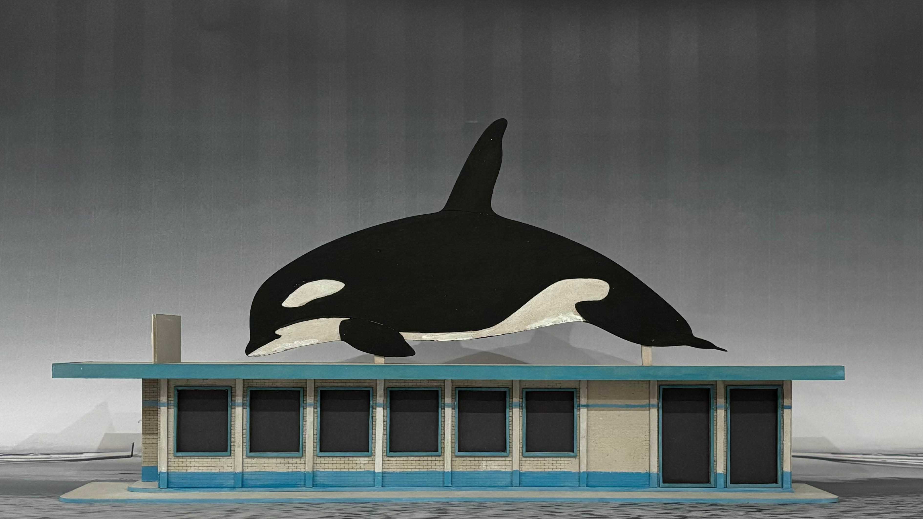 1:50 facade model of the Killer Whale (Orca) Museum Gift Shop located at the fifth and final fictional rest stop of "The Highway Orcinus," located in Eden, NSW.