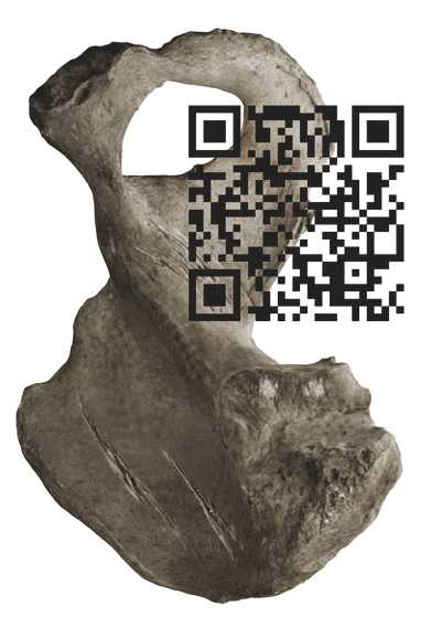 One imagines soft matter as a fiction around a mineral body; the false memory of flesh on a bone. QR to video.