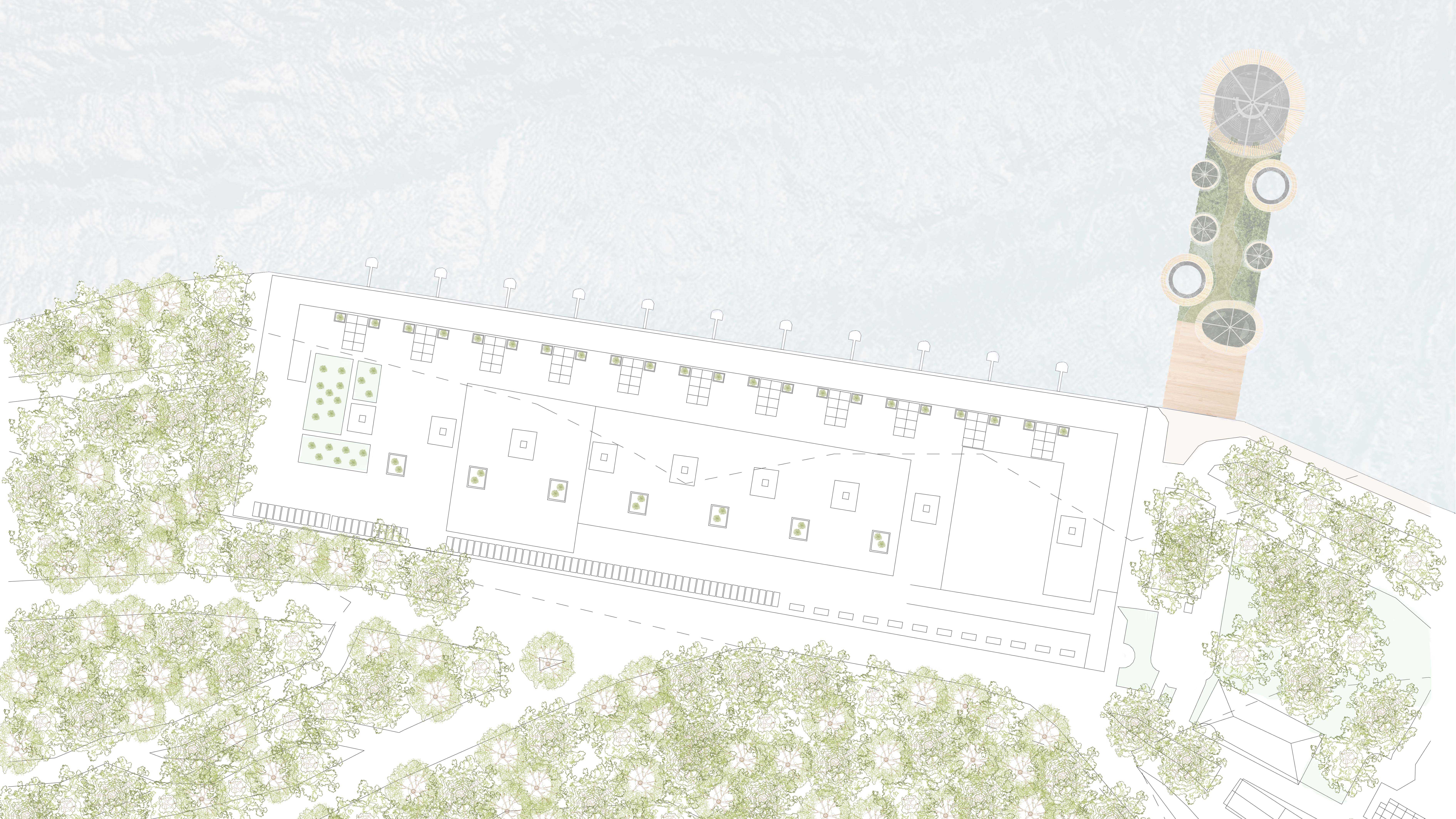 Site Plan for 'The Soul of North Sydney'