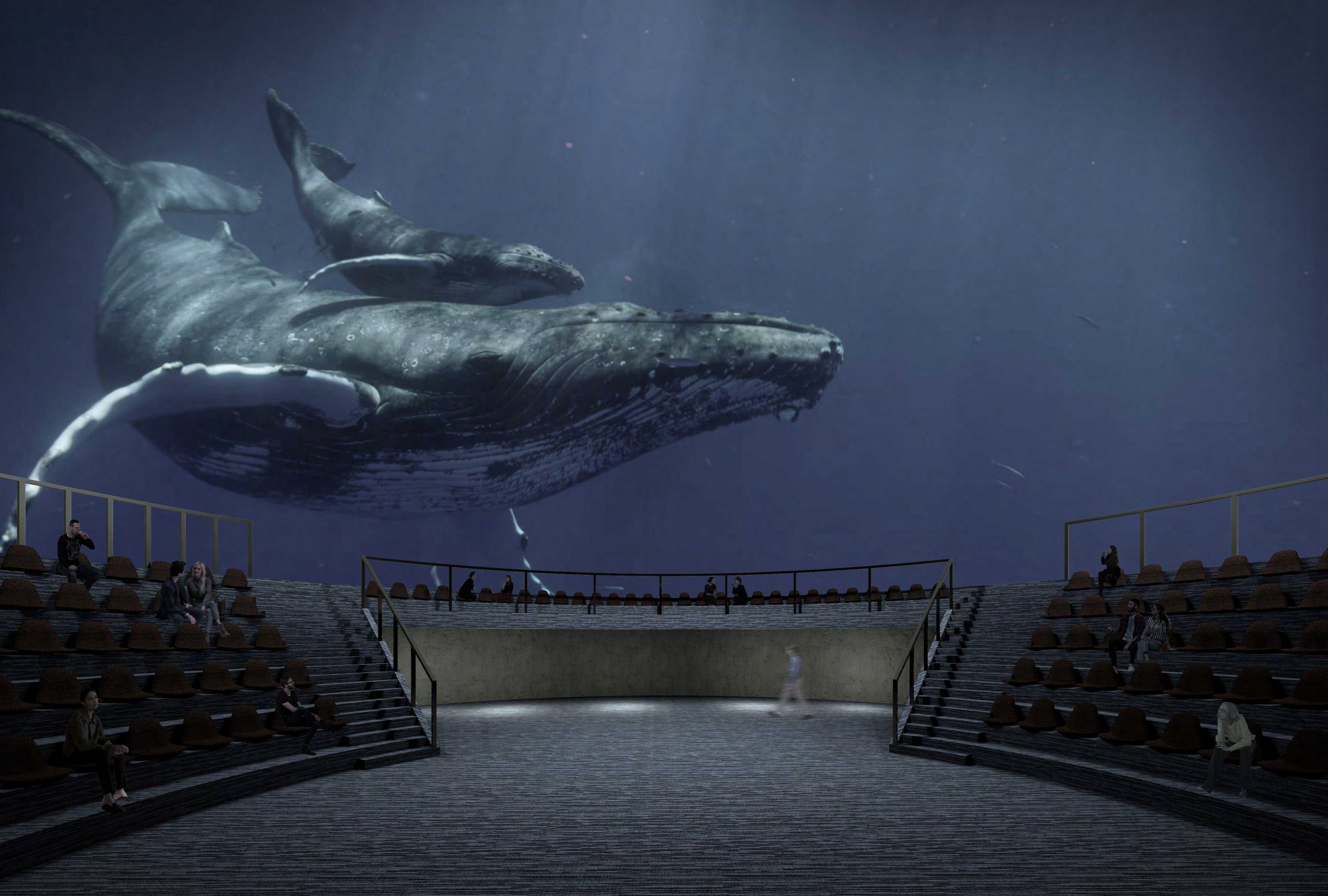 Water Theatre Internal Render