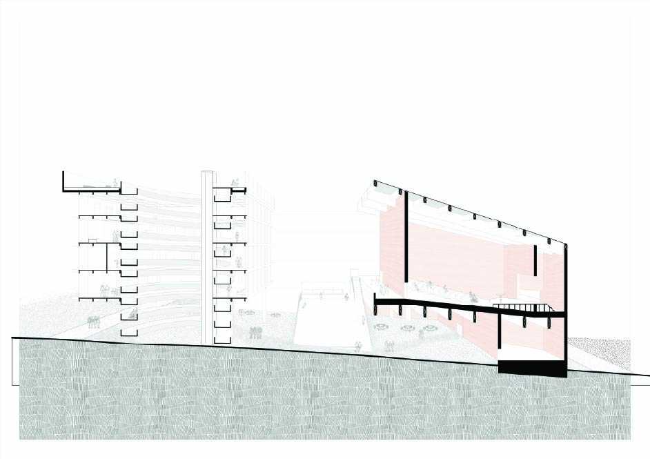 Sectional perspective illustrating the organisation of the Place of Learning and the Place of Performance, exposing the internal functions and their connection across the sloping site.