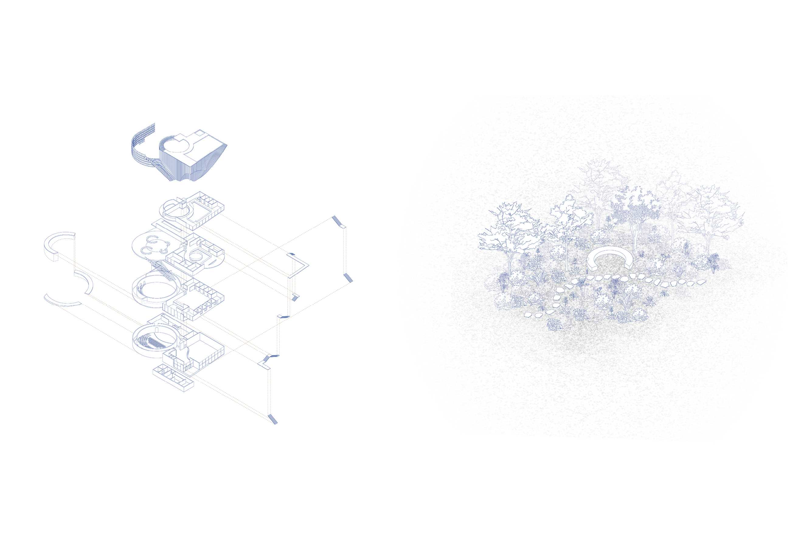 The axonometric sets out the project’s circulation, while the landscape vignette records the waterline through stepped stone and the native plants taking root where water once rested.