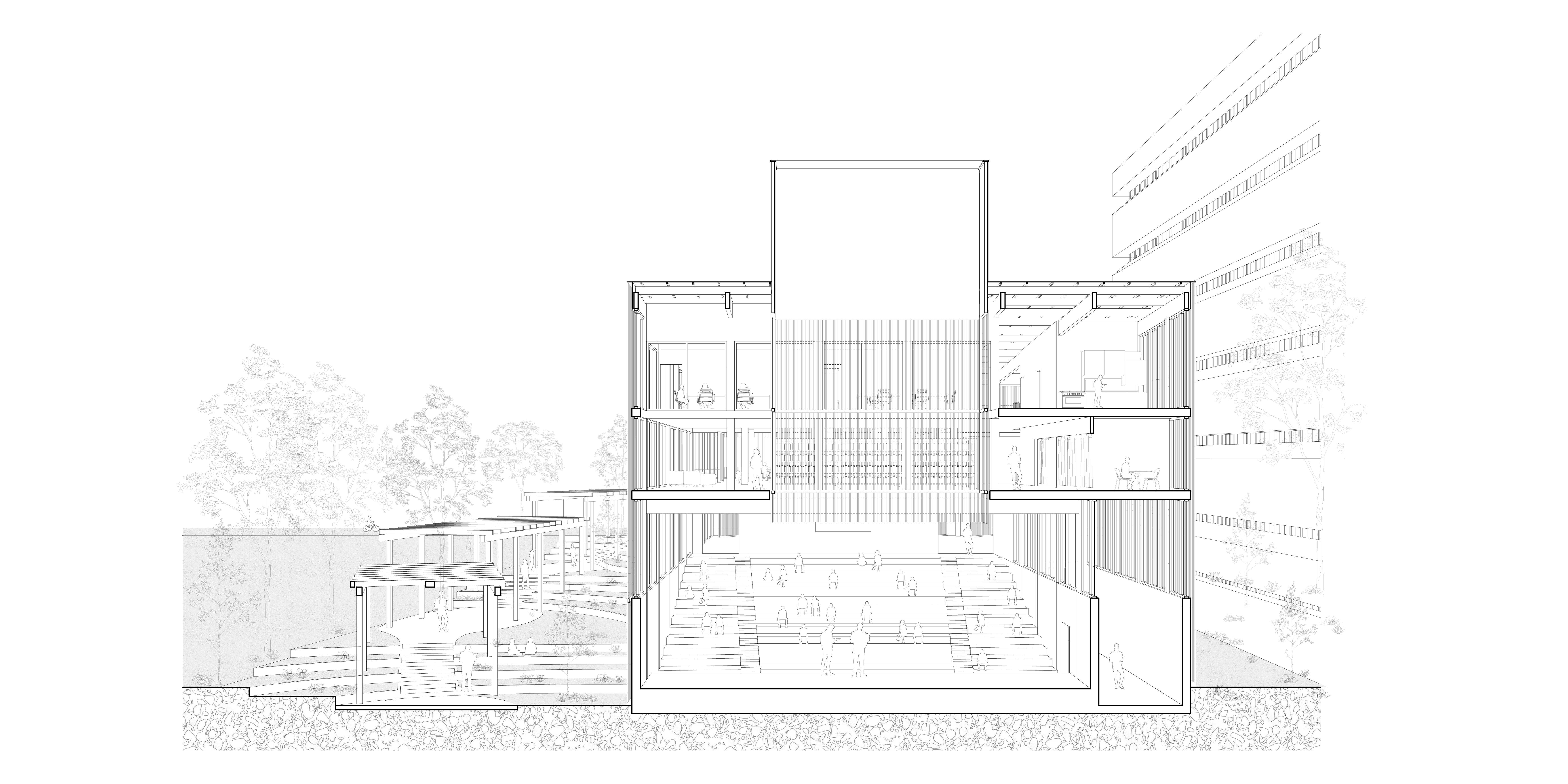 Light descends through the building in drifting layers, filtered by timber and voids, touching every level as it moves from sky to ground, weaving country and interior into one continuity.