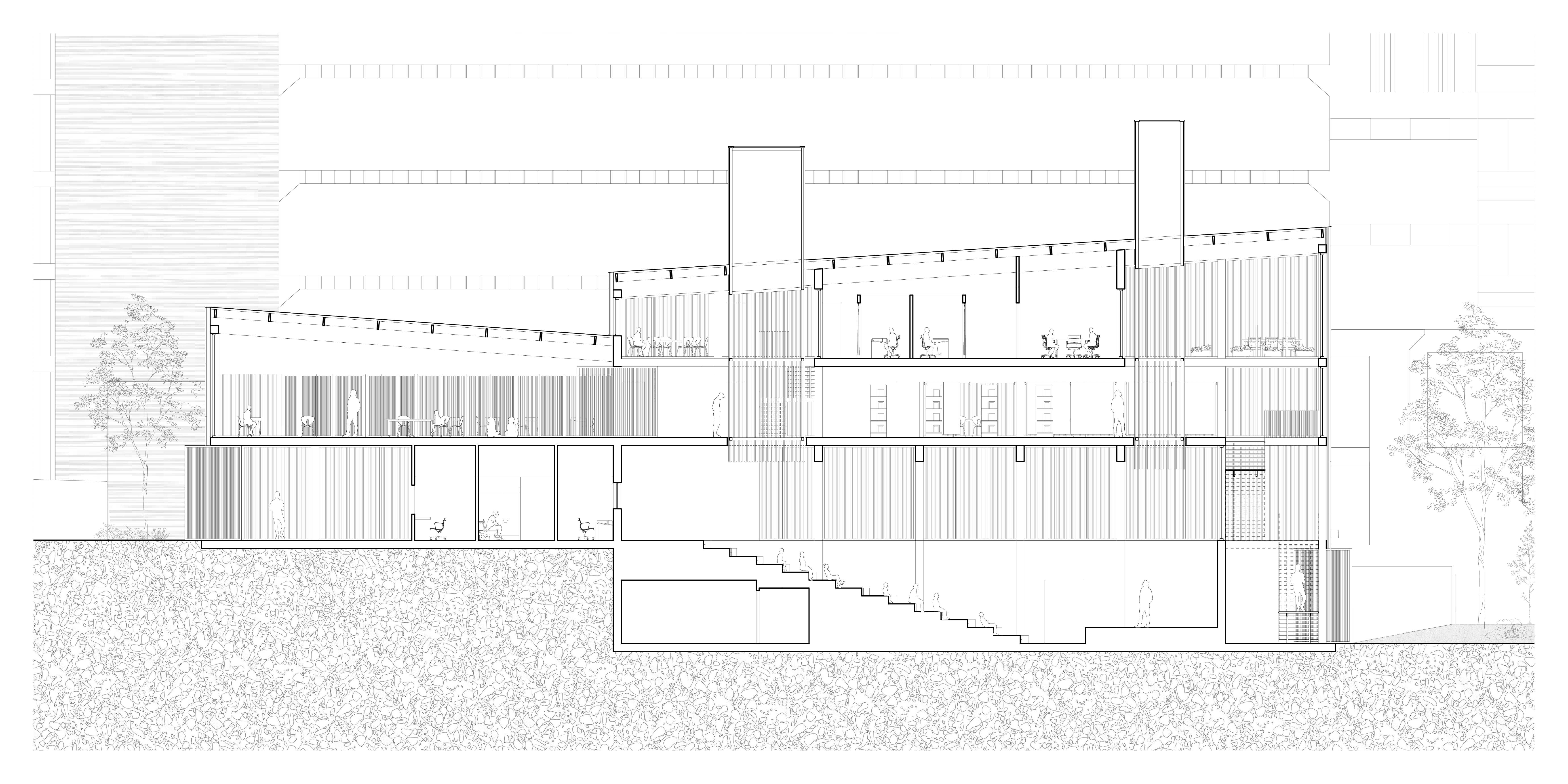 Light washes through the sloping roof and open voids, carrying sound and sightlines between spaces. Every level remains visually connected, forming one continuous environment shaped by movement and shared presence.