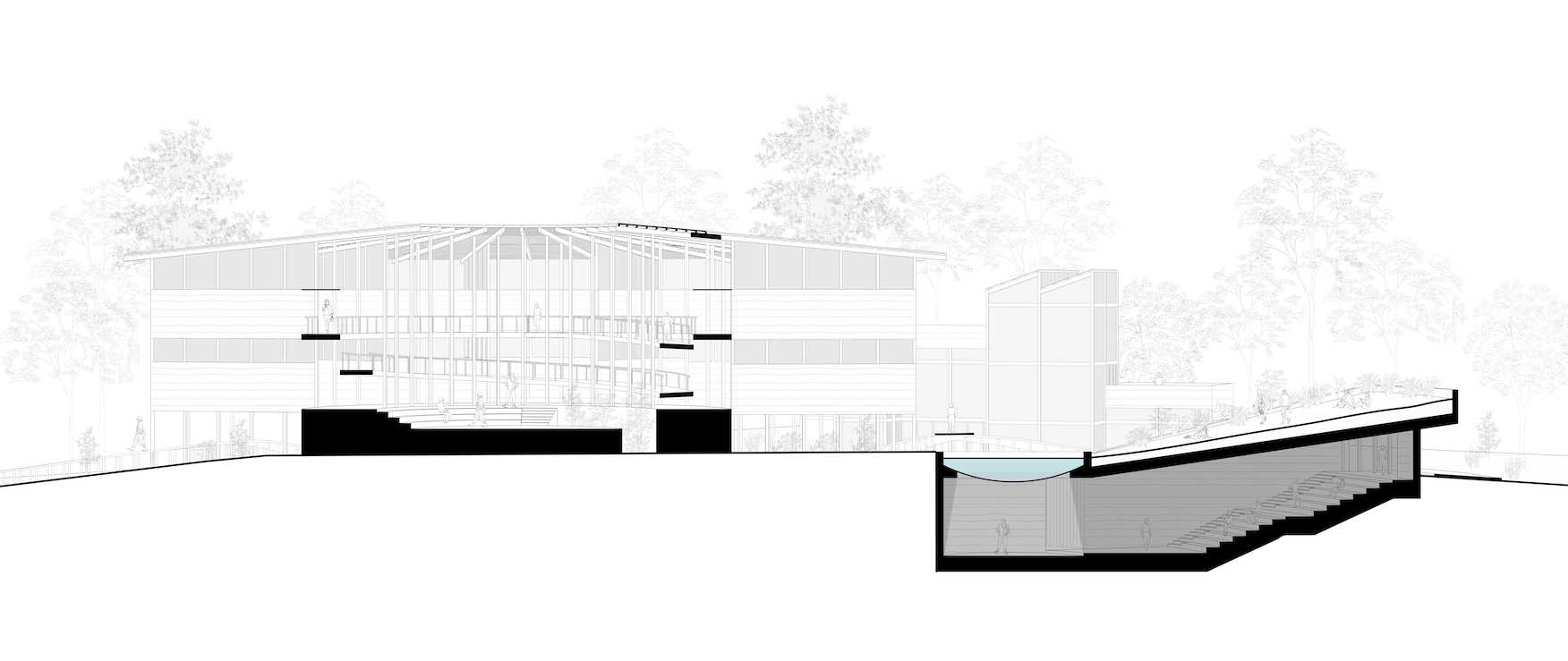 PERSPECTIVE SECTION / 