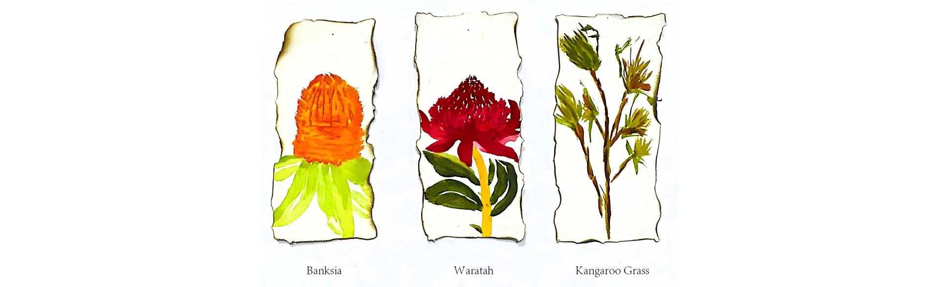 Plants that "love" Fire