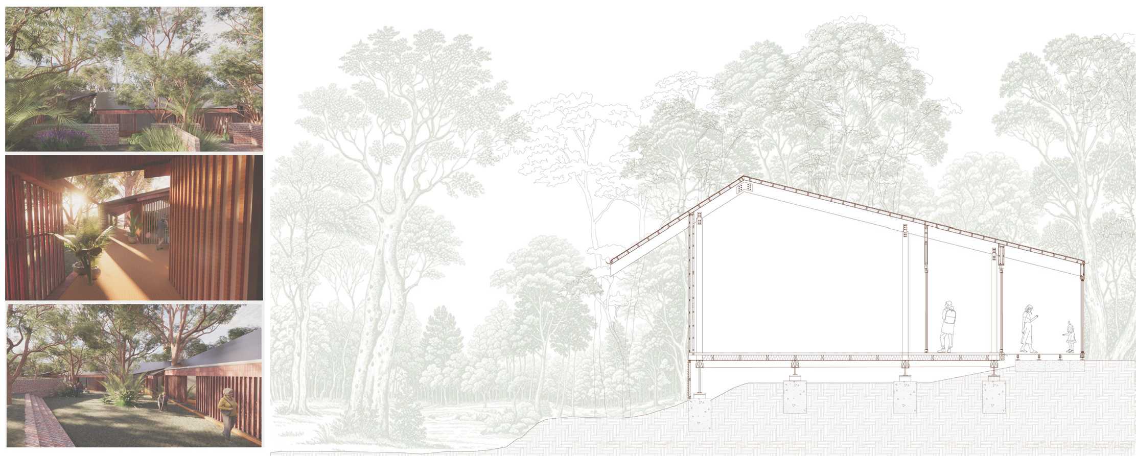 'Splintered Gums' quietly embedded in the bushland, where timber screening, shifting light, and planted courtyards foster gentle transitions and a seamless relationship between architecture, landscape, and community.