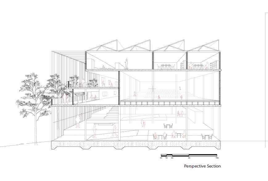Perspective section through the building
