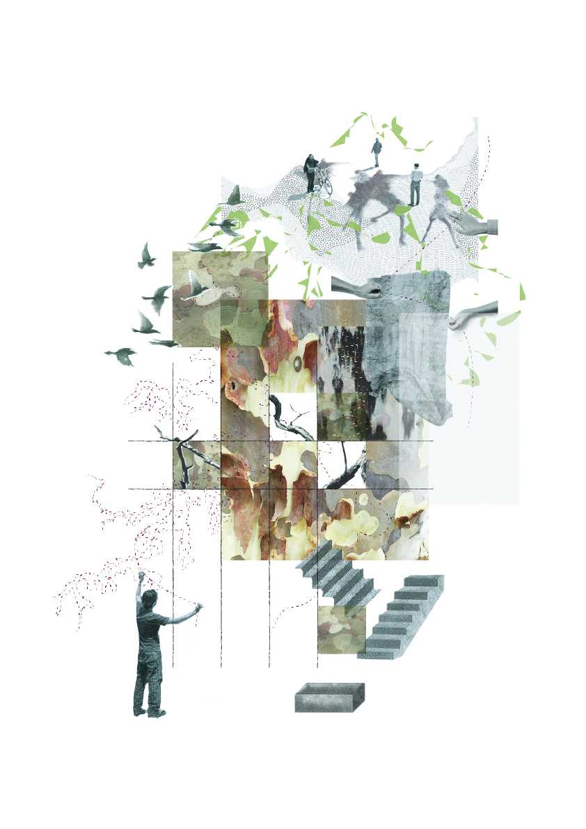 Placed in Dialogue, Not Hierarchy | The Gadigal Centre of Excellence becomes a site of confluence: one in which different ways of knowing may meet and incur exchange. 