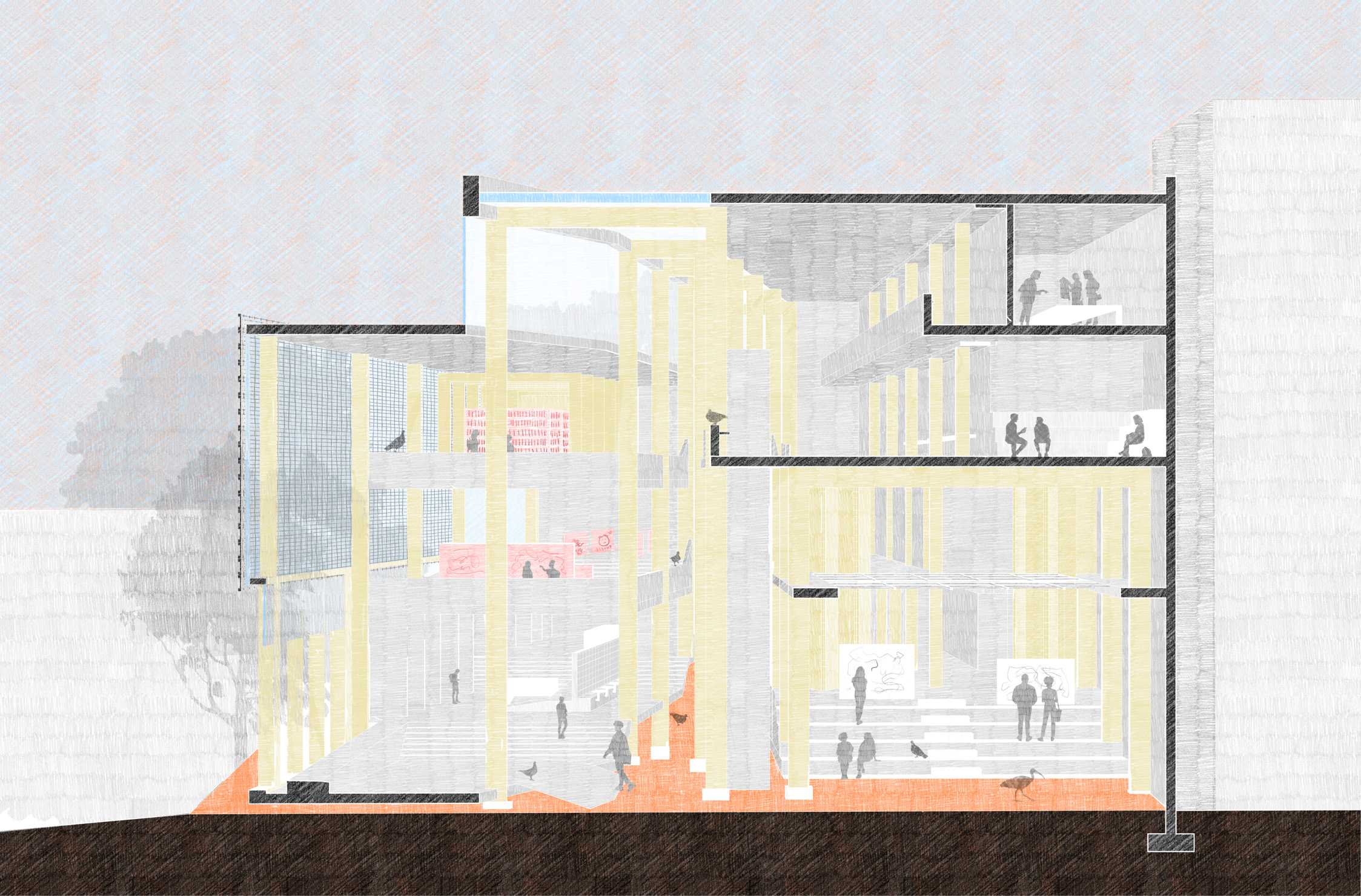 Perspective section, viewed from Cadigal Green