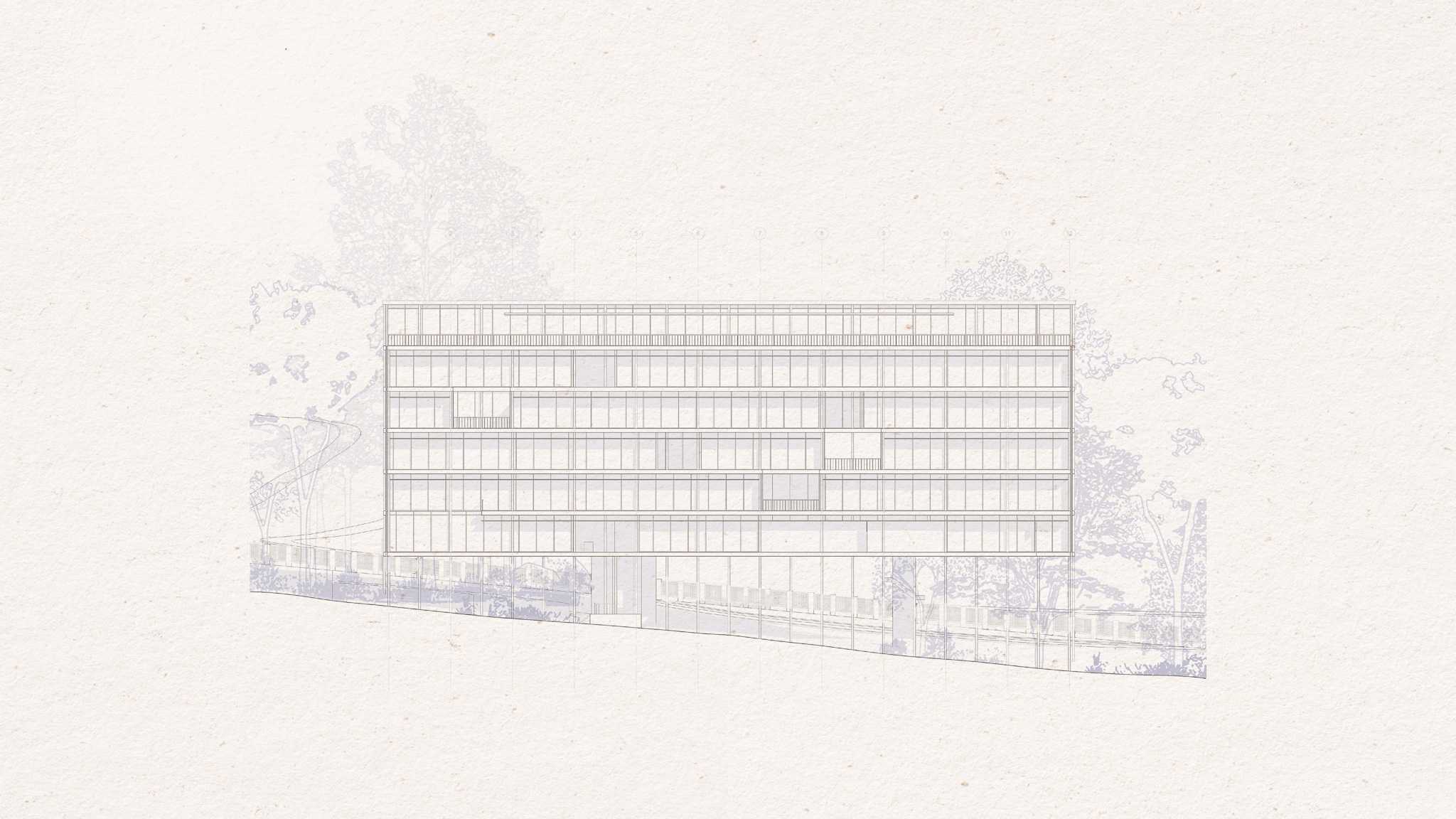 The slender columns disturb little, allowing soil, roots, and water to move freely beneath it. Shaded undercrofts become habitats, terraces become catchments, circulation becomes a vertical extension of the landscape.