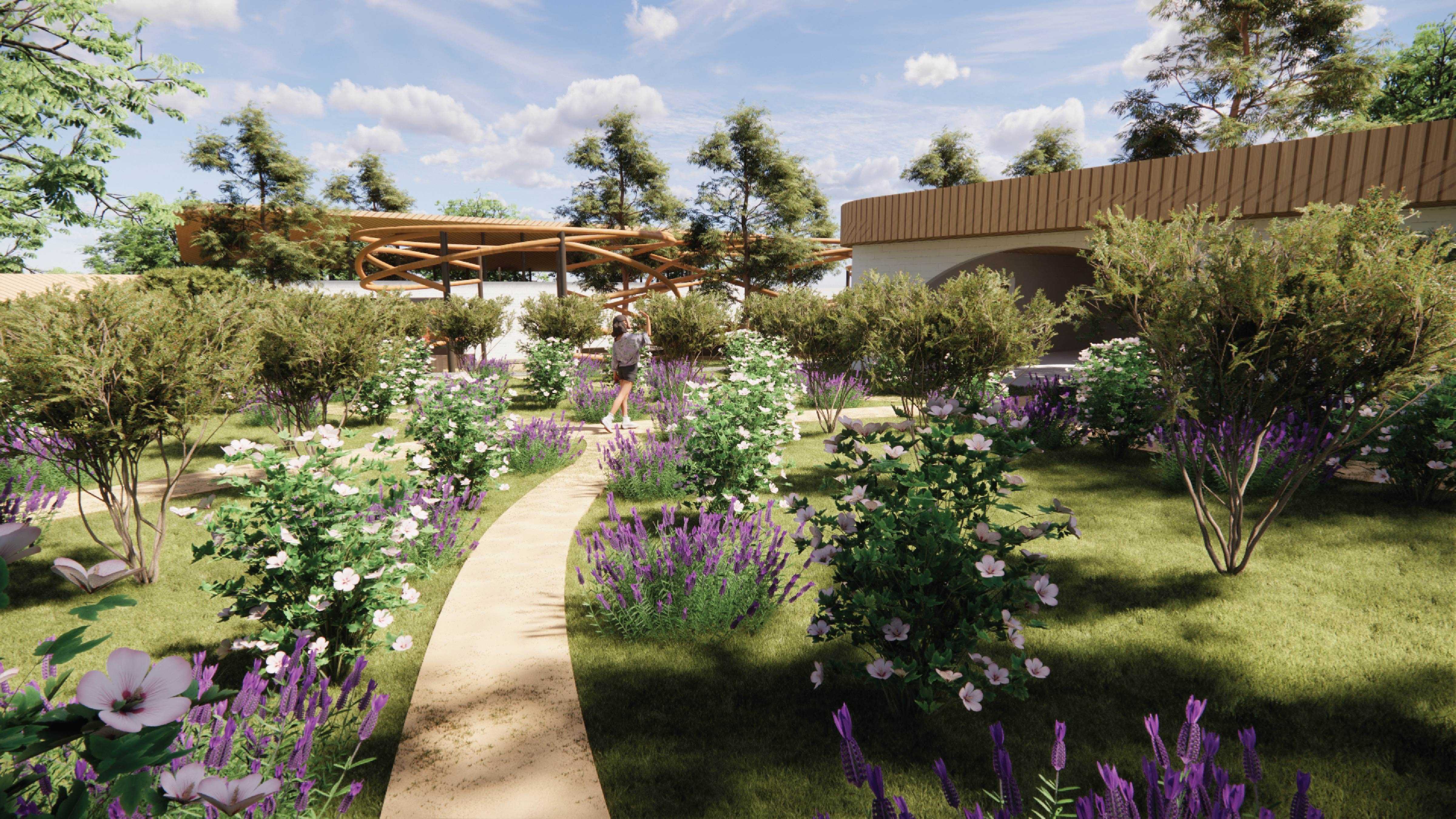 The wild plant nursery embodies the branching structure of the Sheoak Tree, one of the Cockatoo’s primary food sources,Sharing cultural connections to memory,resilience, and ecological systems that support bird life.