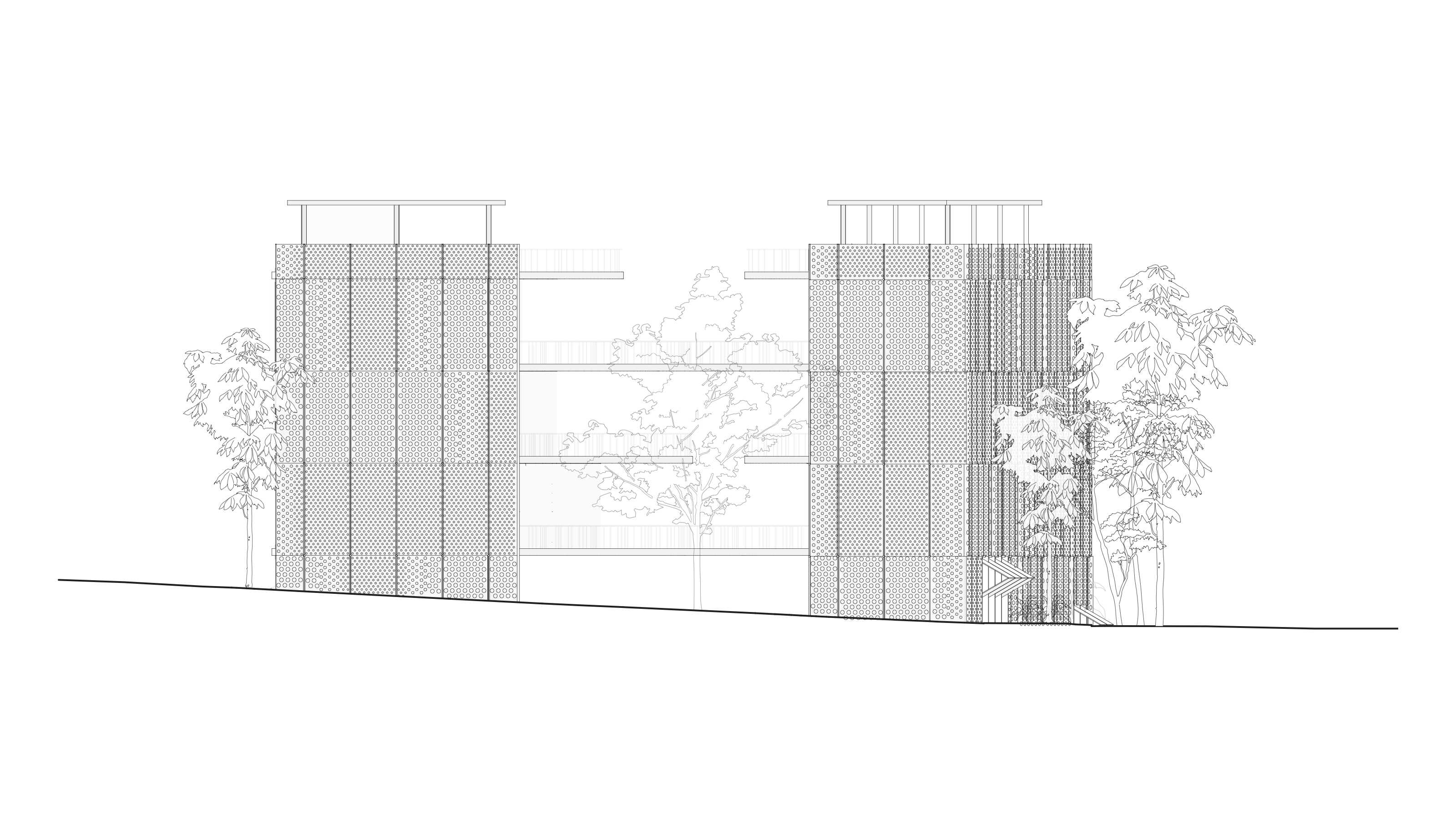 West Elevation: Perforated Metal Facade replicates the Komorebi effect that is happening in the courtyard by allowing differing patterns of light into the interior spaces.
