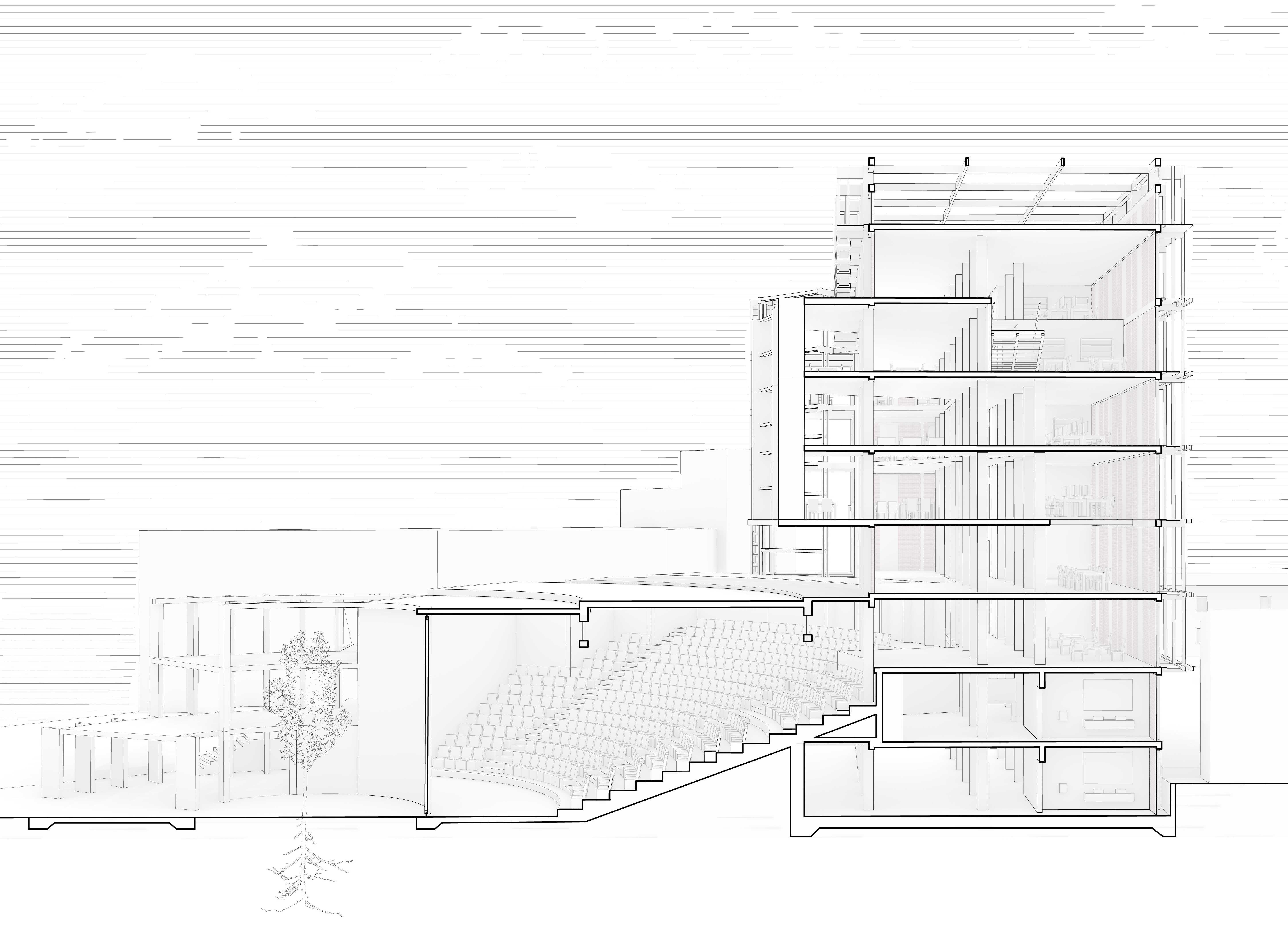 Sectional Perspective