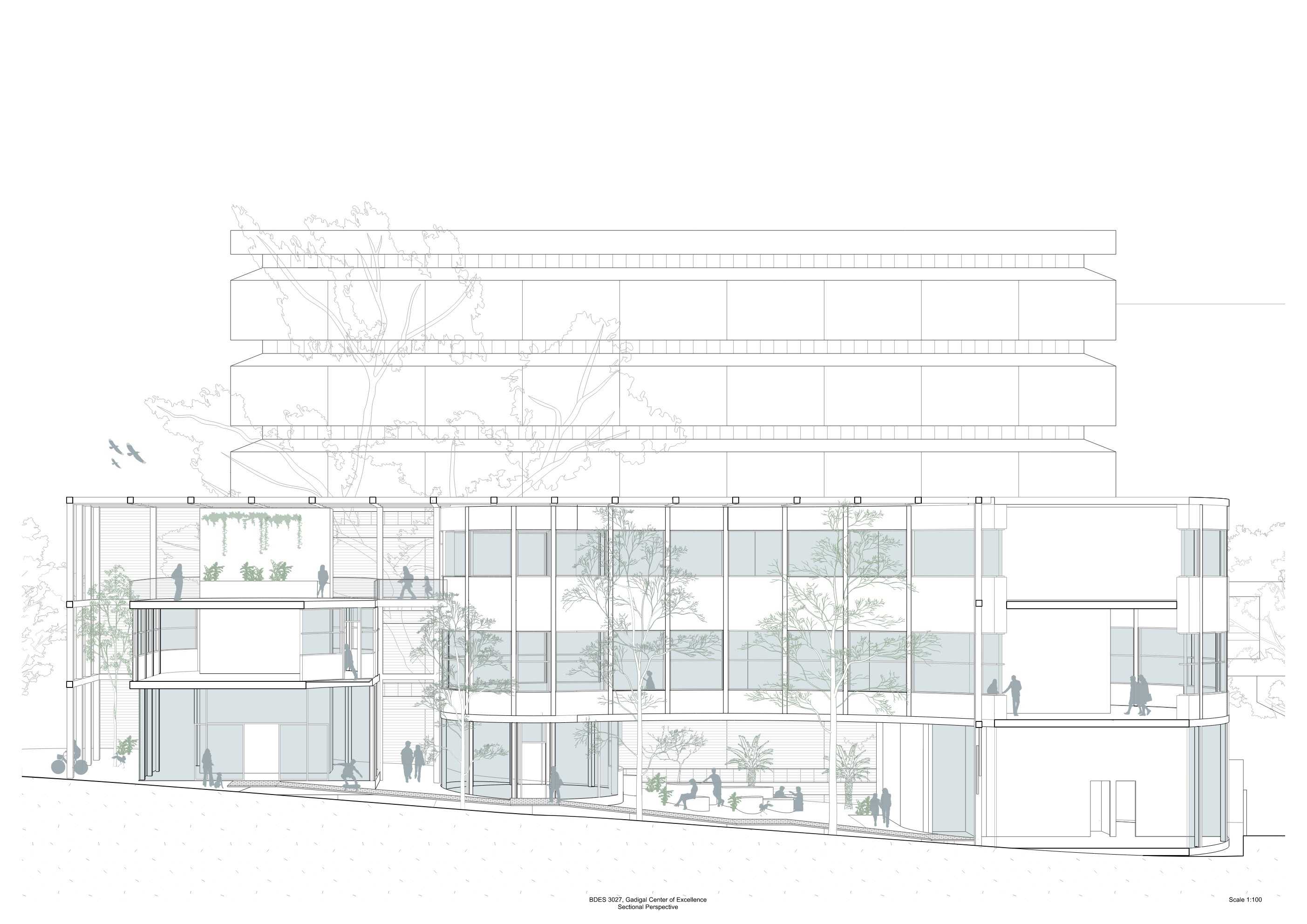 Sectional Perspective