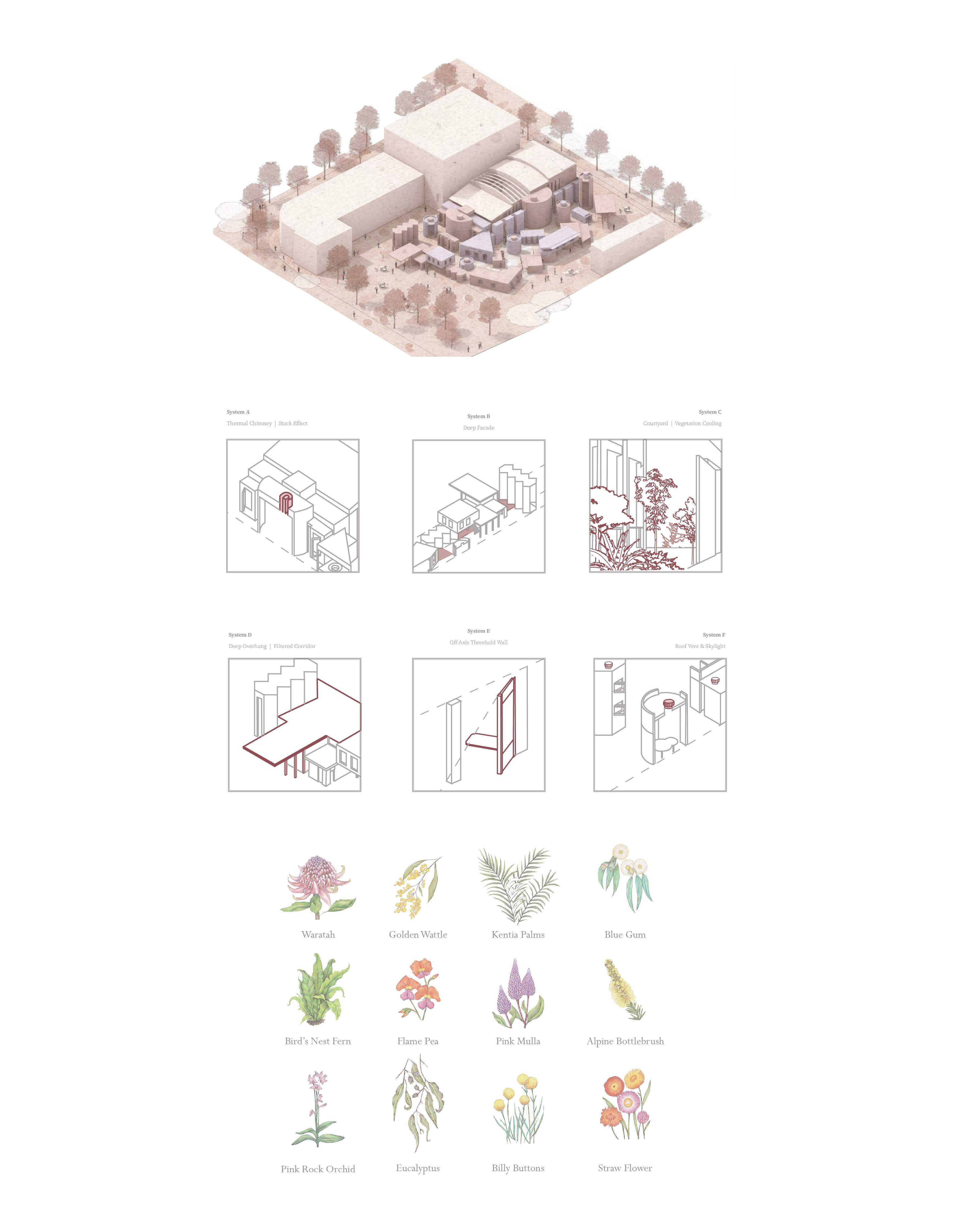 Coolth systems converge with taxonomically selected native vegetation, where seasonal airflow shifts and species catalogues reveal trees as living thermoregulators—cooling, shading, and shaping microclimates through transpiration and ecological density.