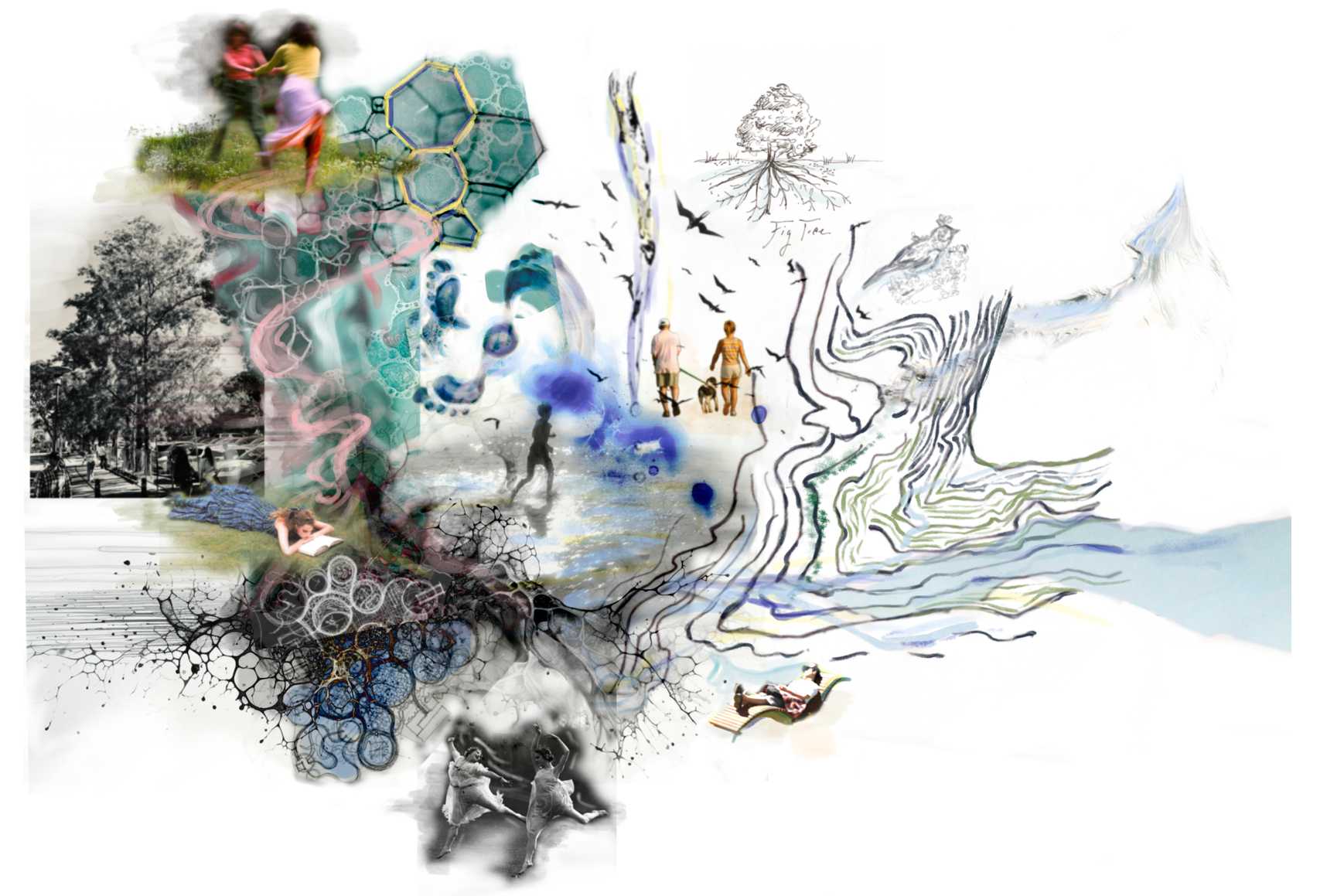 Inspired by Gadigal Green’s contours, this collage highlights water shaping movement, supporting biodiversity and linking people, plants and birds in cycles of renewal, forming a landscape of learning and connection with Country.