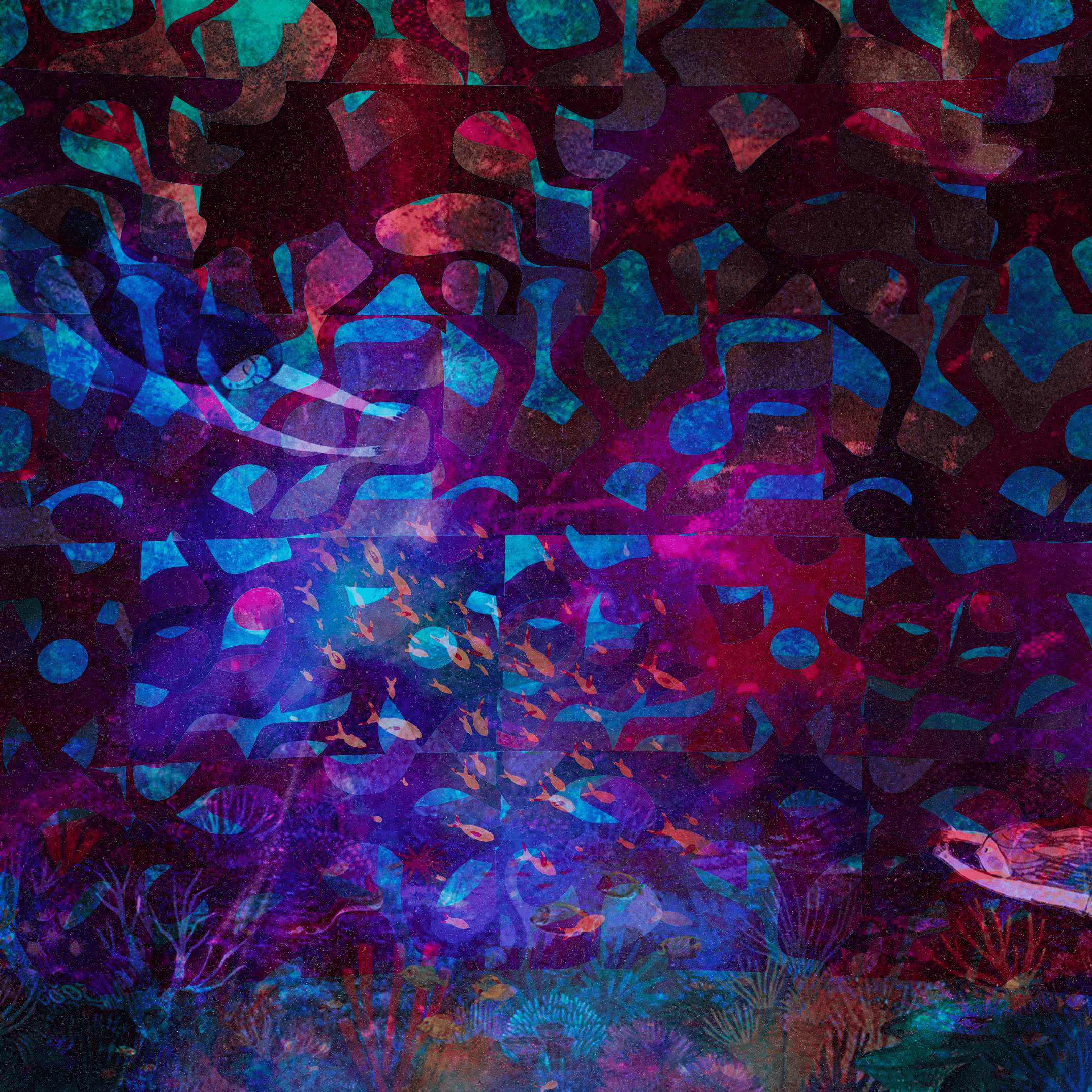 4. Focus on more-than-human
Notice seagrass thickening, seahorses clinging, oysters filtering, algae glowing.