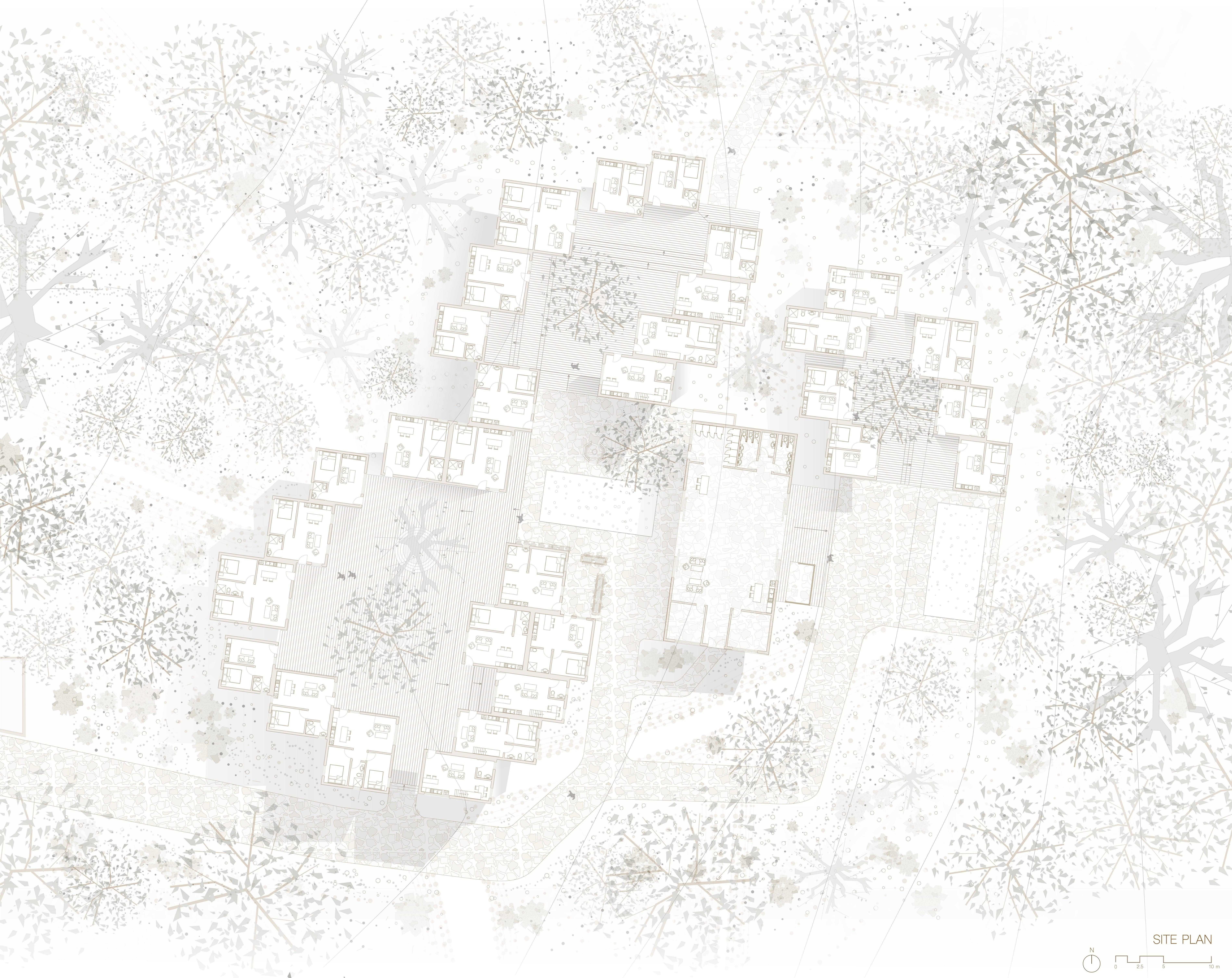 Connection to country and community is achieved through the creation of three housing clusters, sitting on boardwalks surrounding a central communal building and two large communal courtyards. 