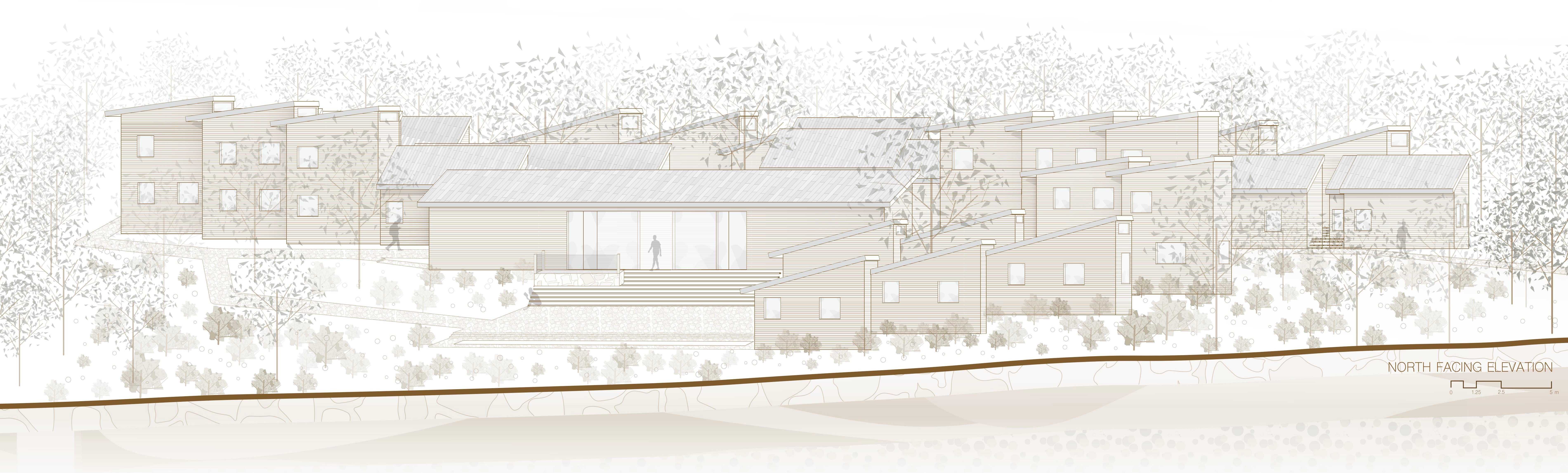 Each house is stacked effectively to respond to the existing terrain while ensuring effective solar access throughout the day. 