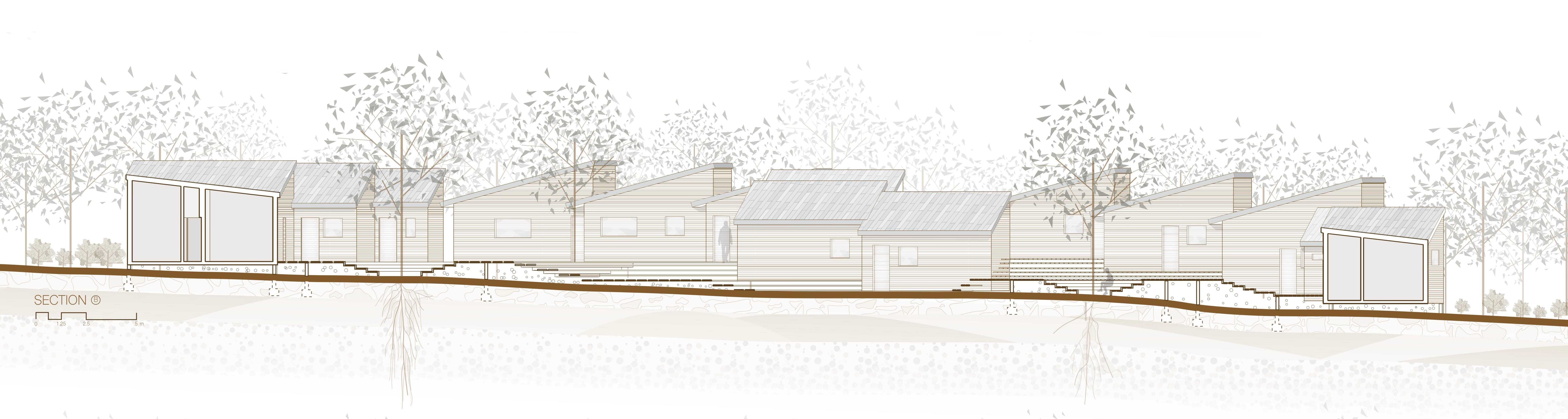 As well as creating connectivity, the boardwalks are stepped to ensure the dwellings touch lightly on country allowing vegetation, water and animals to grow, travel and thrive beneath. 