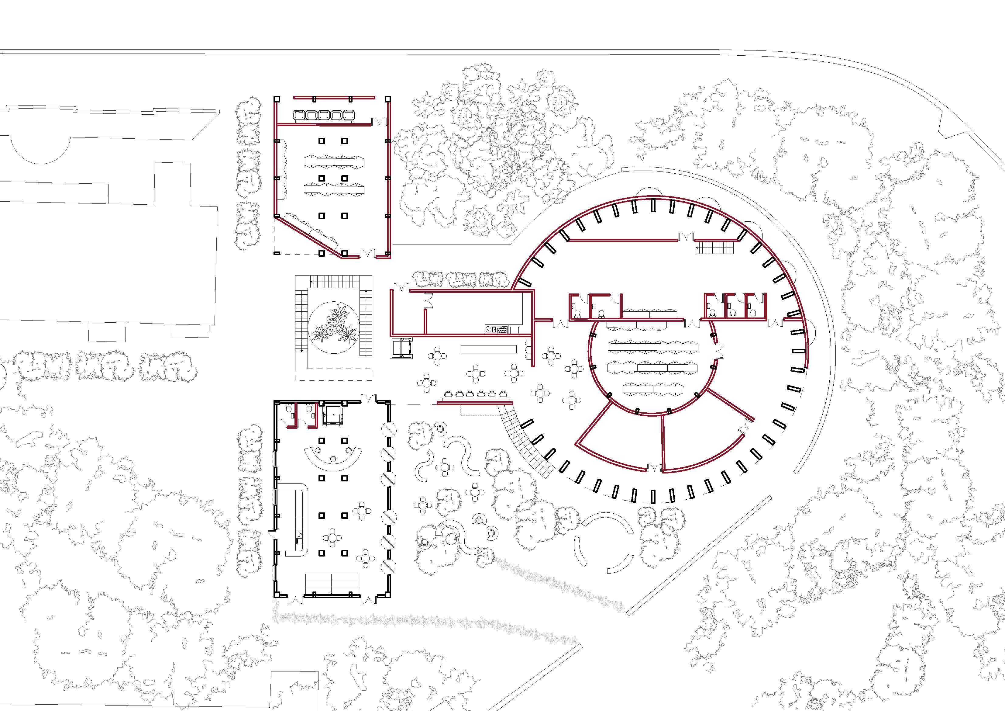 Gadigal Centre of Excellence - Ground Floor Plan. 
The ground floor establishes the main public realm of the Centre, bringing together movement between the two building forms. 