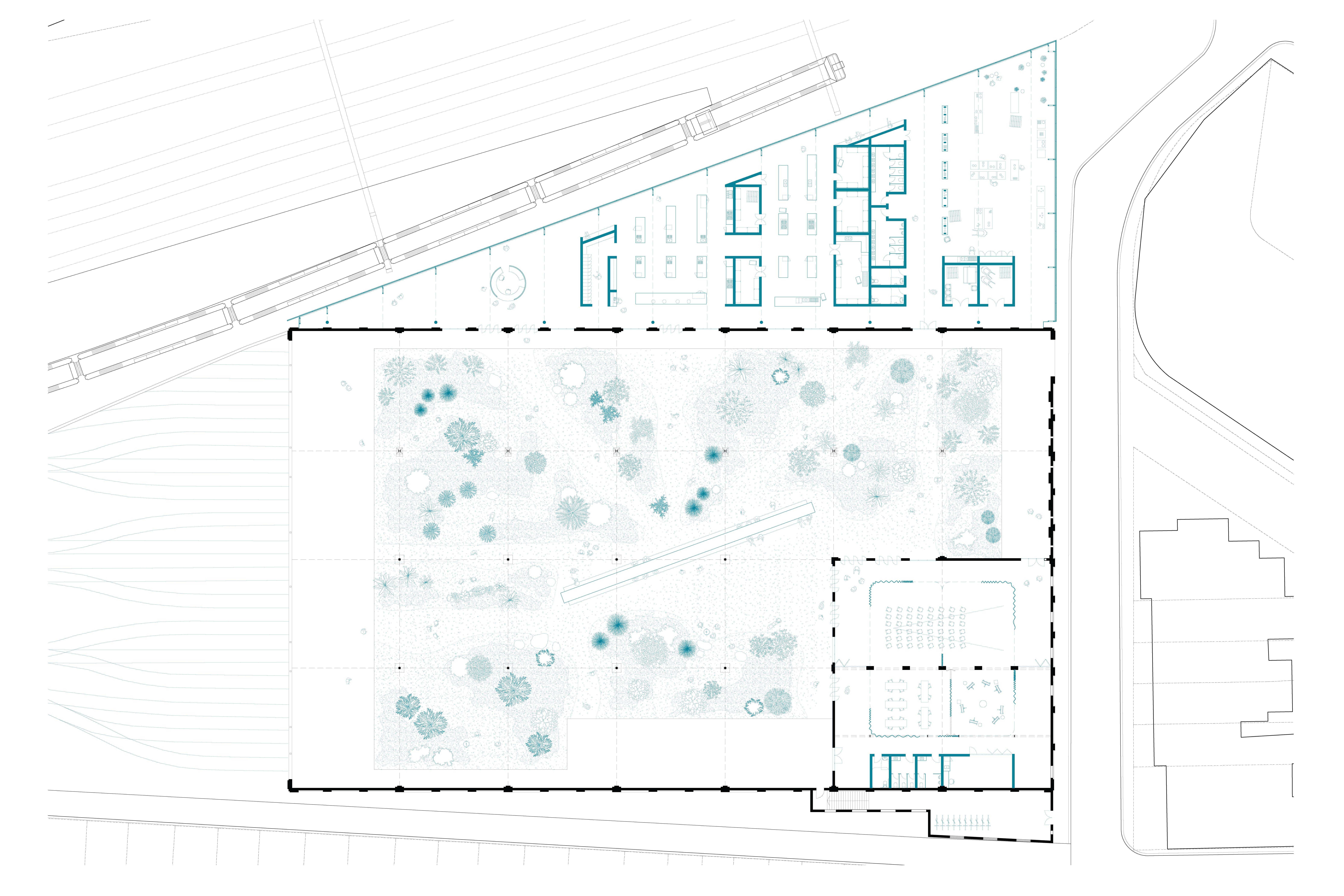 A new addition transforms disused land to house a commercial kitchen, for a rotation of different cultural hosts to experiment with the species and share their cooking with the community.   