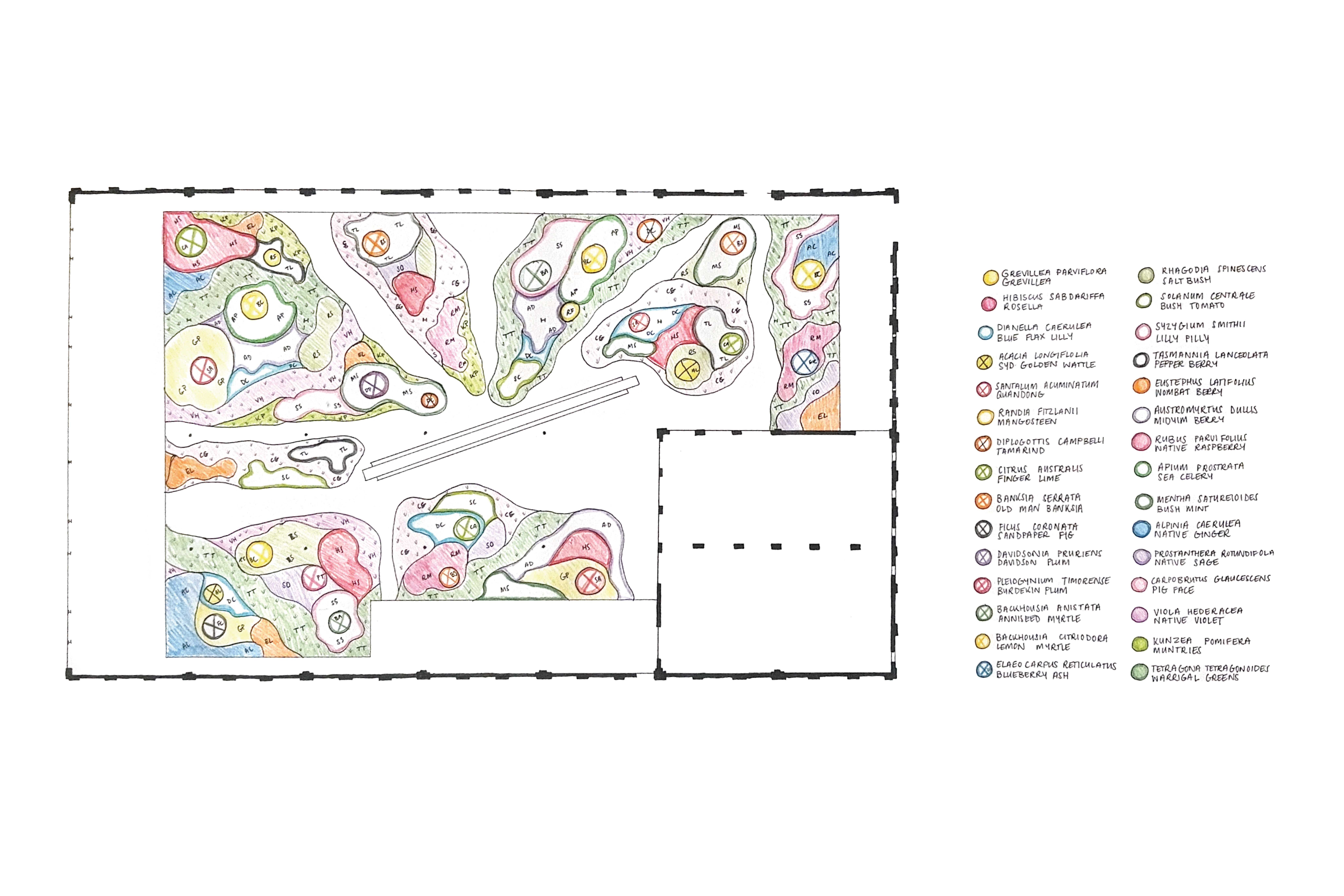 The landscape is populated by a variety of native bush food species. It is poised for spontaneous play, shaped by the seasons and unchoreographed public engagement.