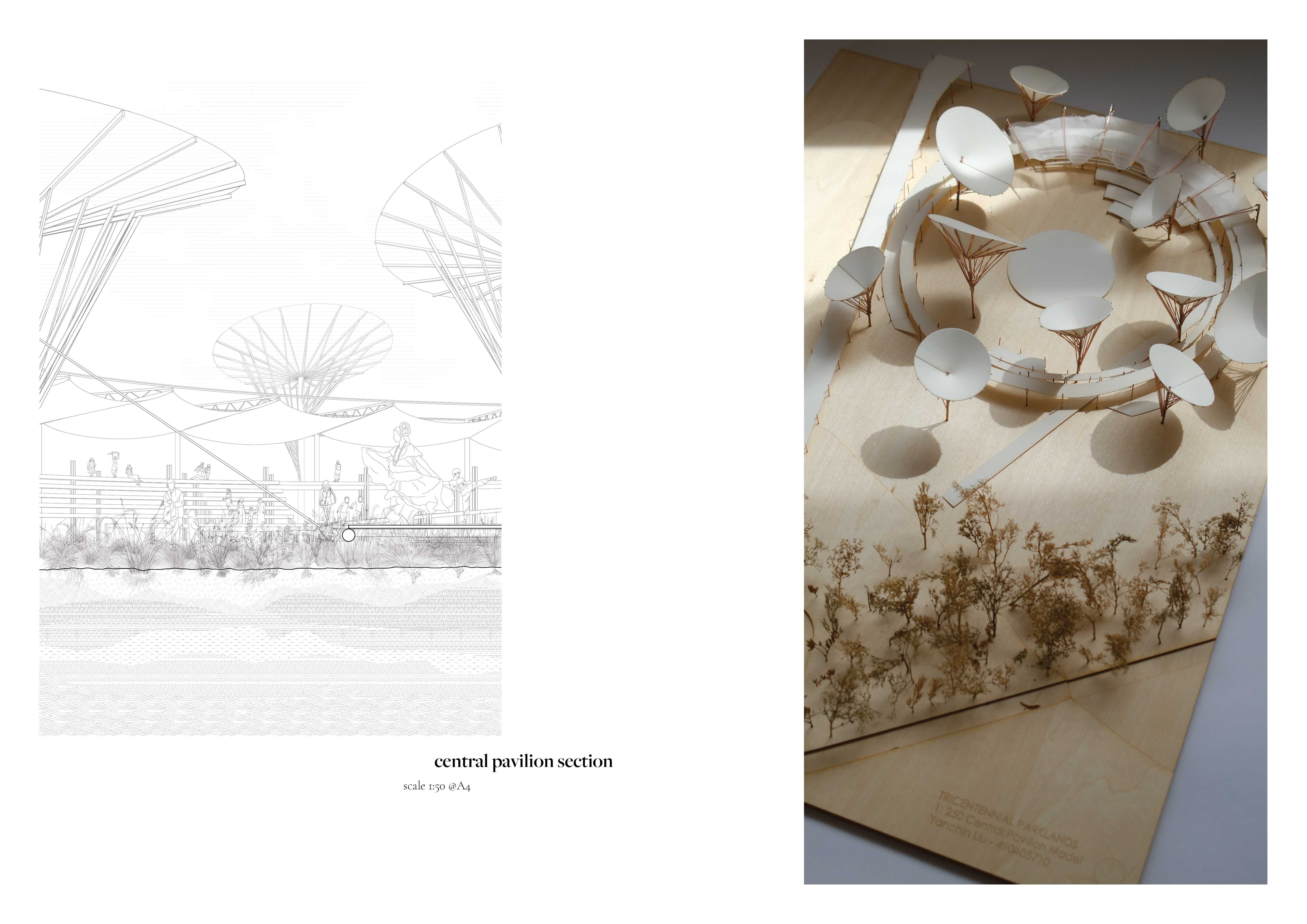 A thrumming of drums and music. 

They turn to you, arms sweeping out

“Welcome, come join us”
