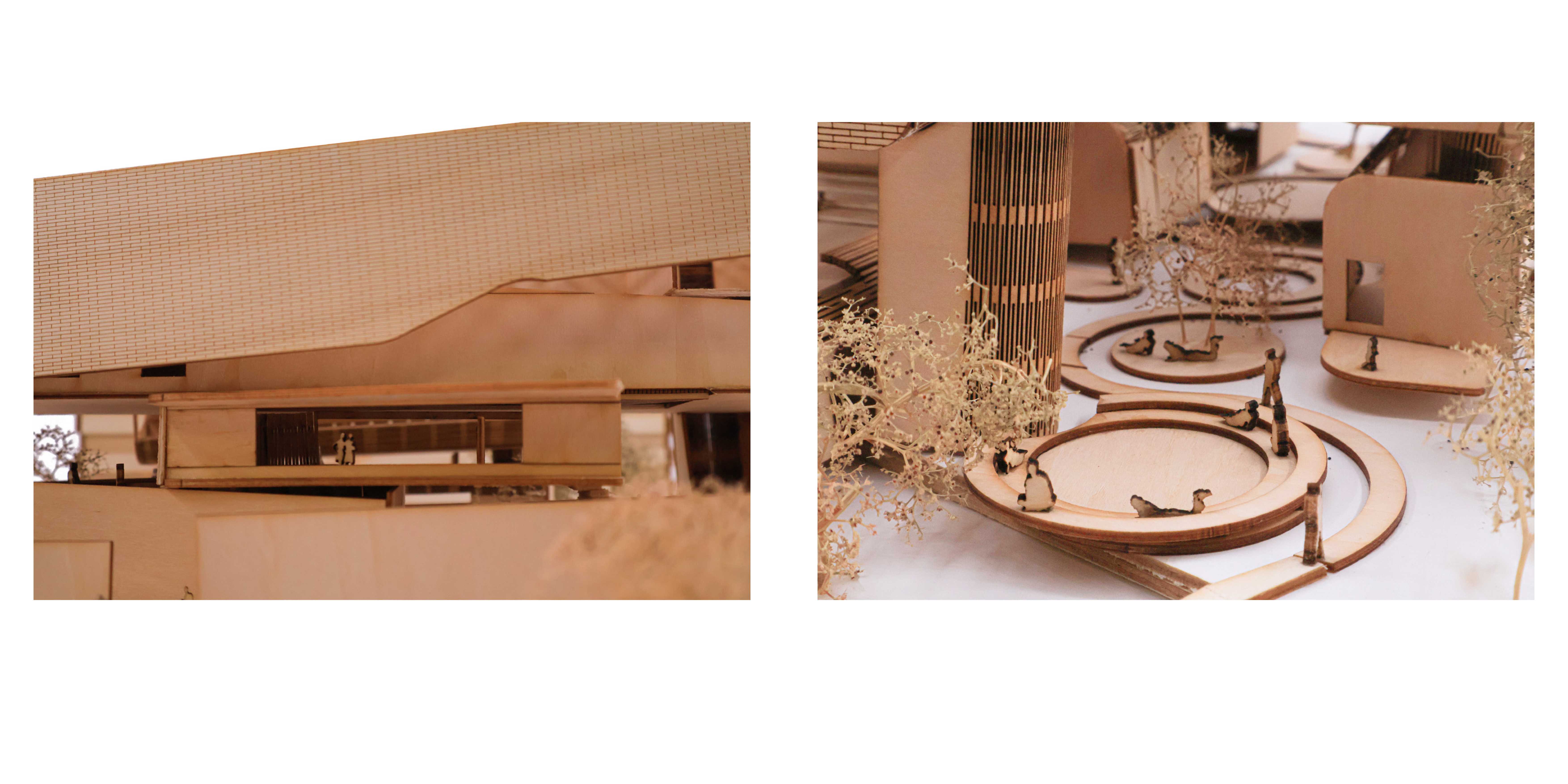 The library embraces Yindyamarra Winhanganha through a gentle rise in space and light, creating a respectful transition that supports slow learning, reflection, and connection to Country within the architectural experience.