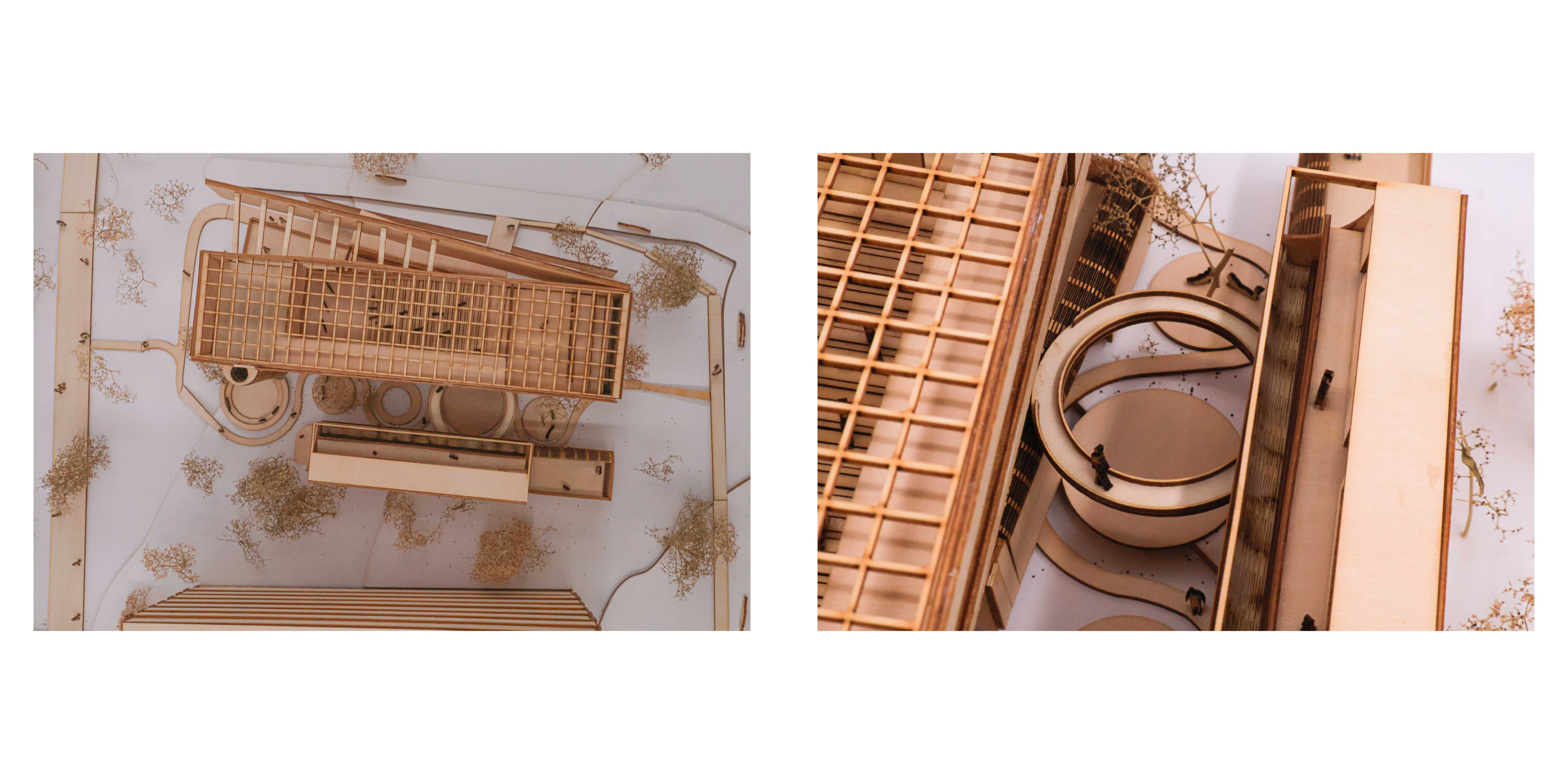 The library’s curved form and the adjacent amphitheatre open the project to light, movement, and Gadigal Green, creating connected learning and gathering spaces shaped by Country and community.